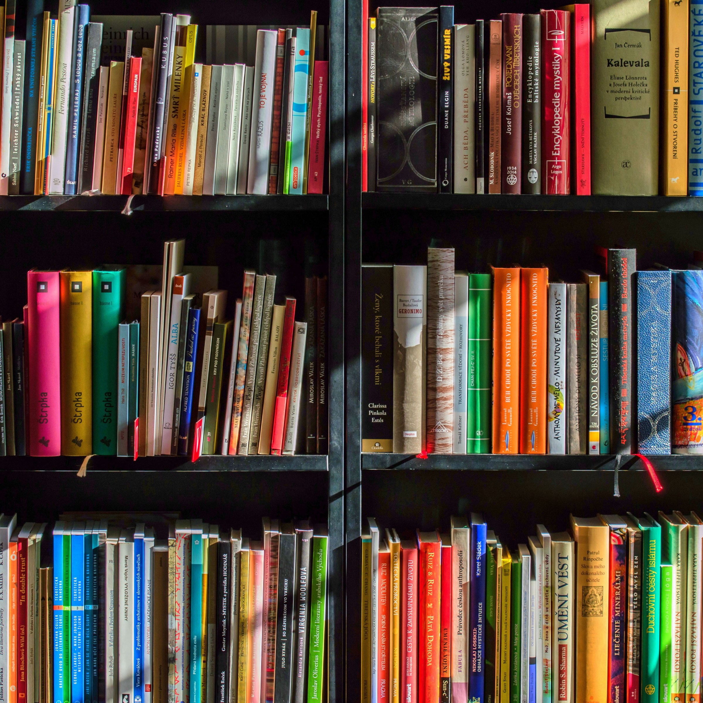 Assorted books on a black shelf