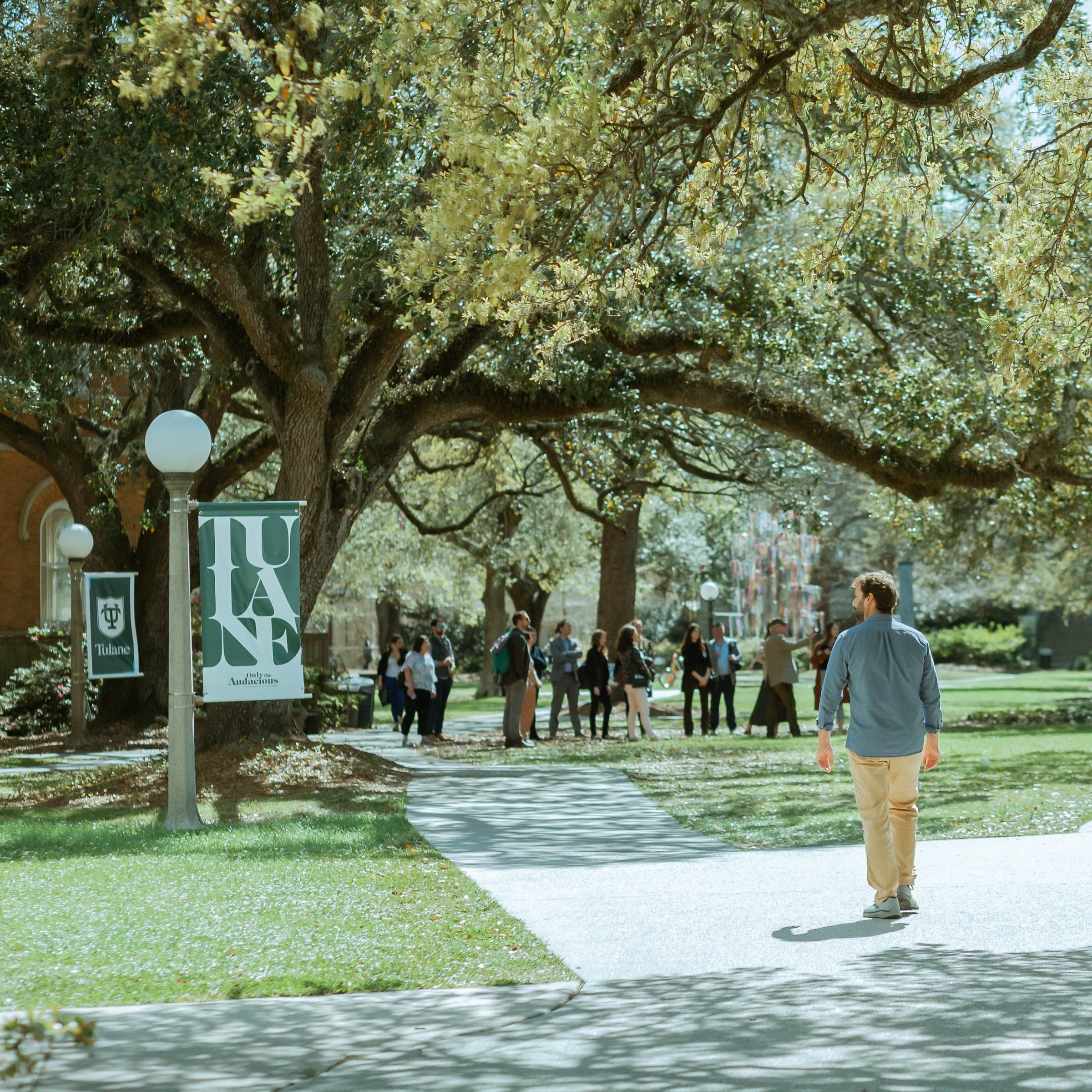 photo of an open, landscaped campus quad with large trees and people walking on sidewalks
