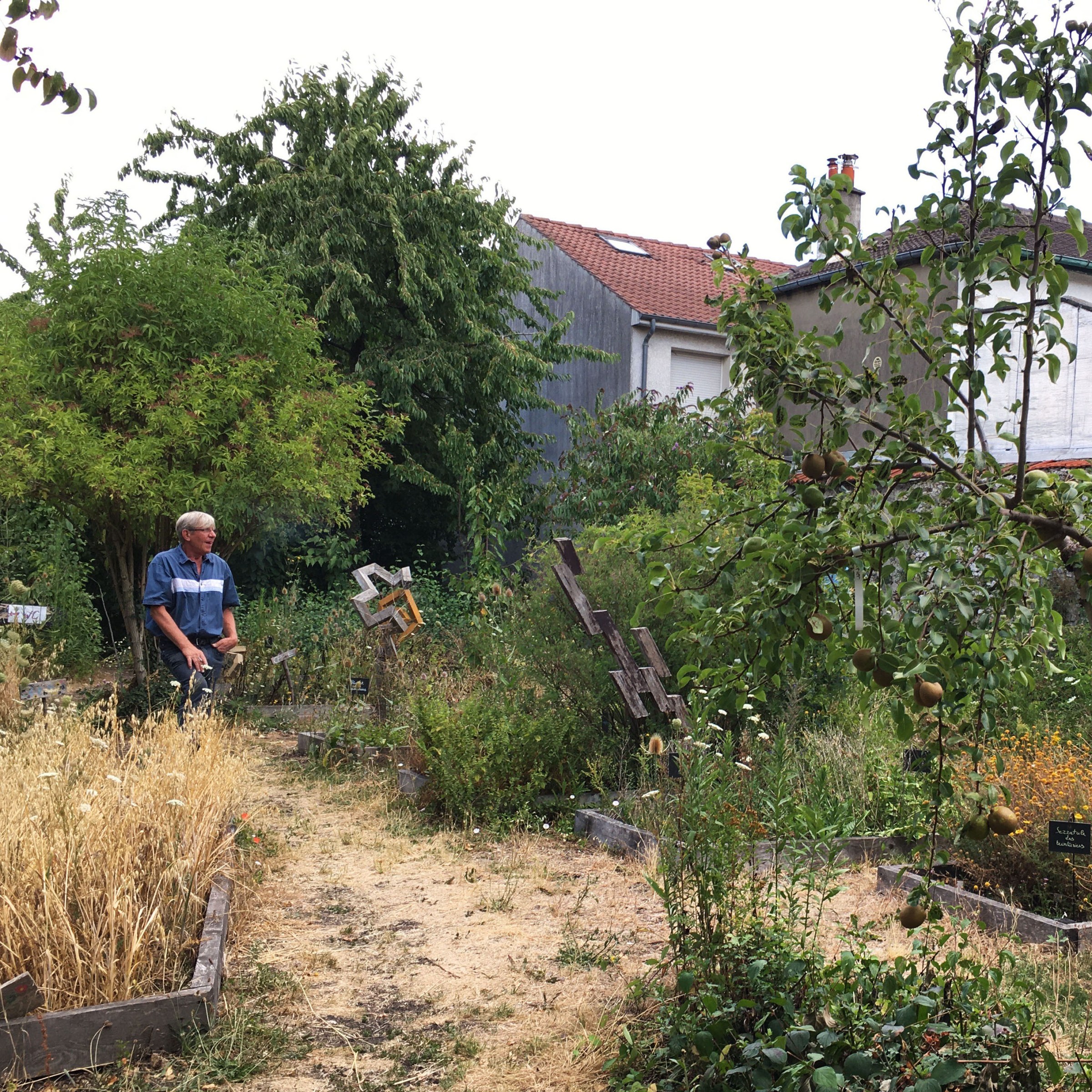 Photo of the Murs à Pêches, a peach orchard in Montreuil, Paris, France.