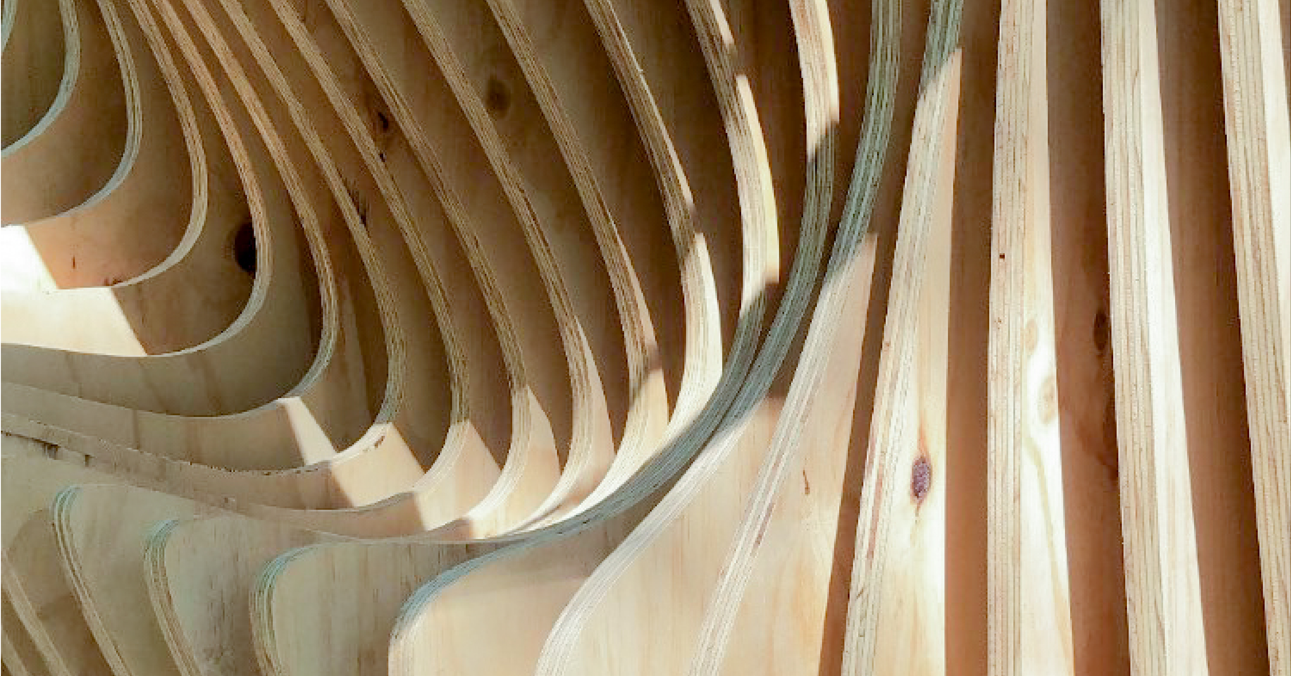 Closeup photo of panels of wood cut into curves that when lined up make a curved facade with light streaming in between the pieces of wood.
