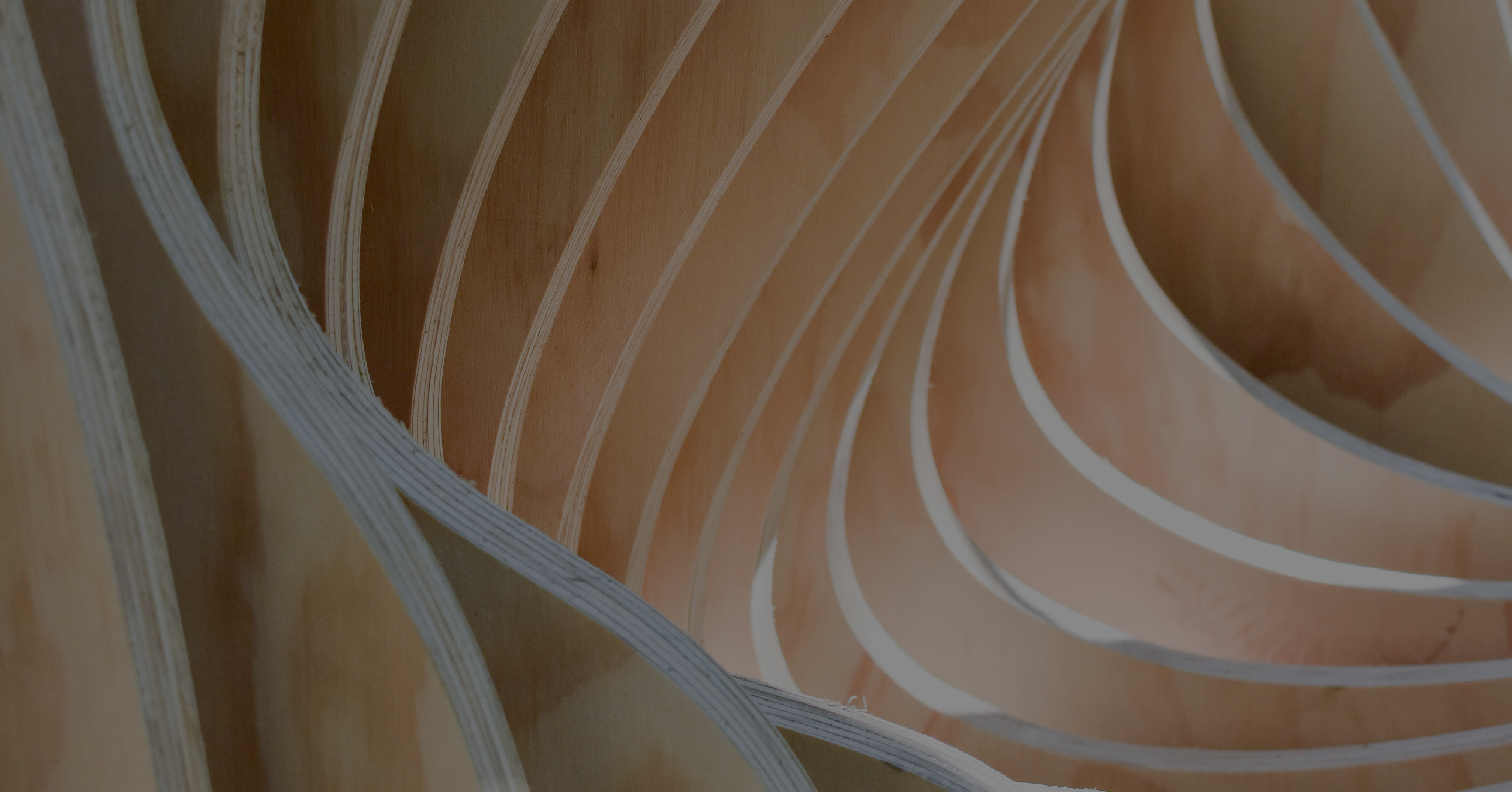 Photo of panels of wood cut into curved sections and lined up to make a wave-like facade that allows for light to stream through when next to each other.