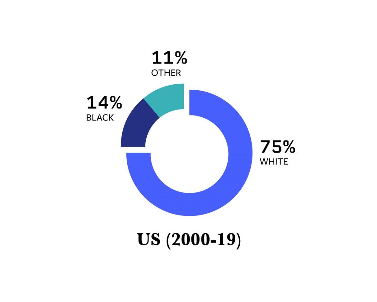 Pie chart showing the racial demographics of US students (2000-20): 75% are White, 11% are Other, and 14% are Black