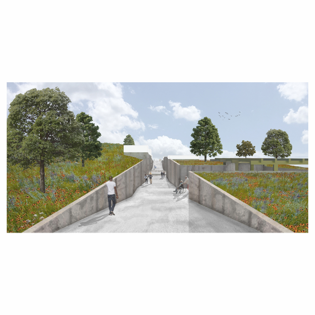 Model illustration of landscape structure