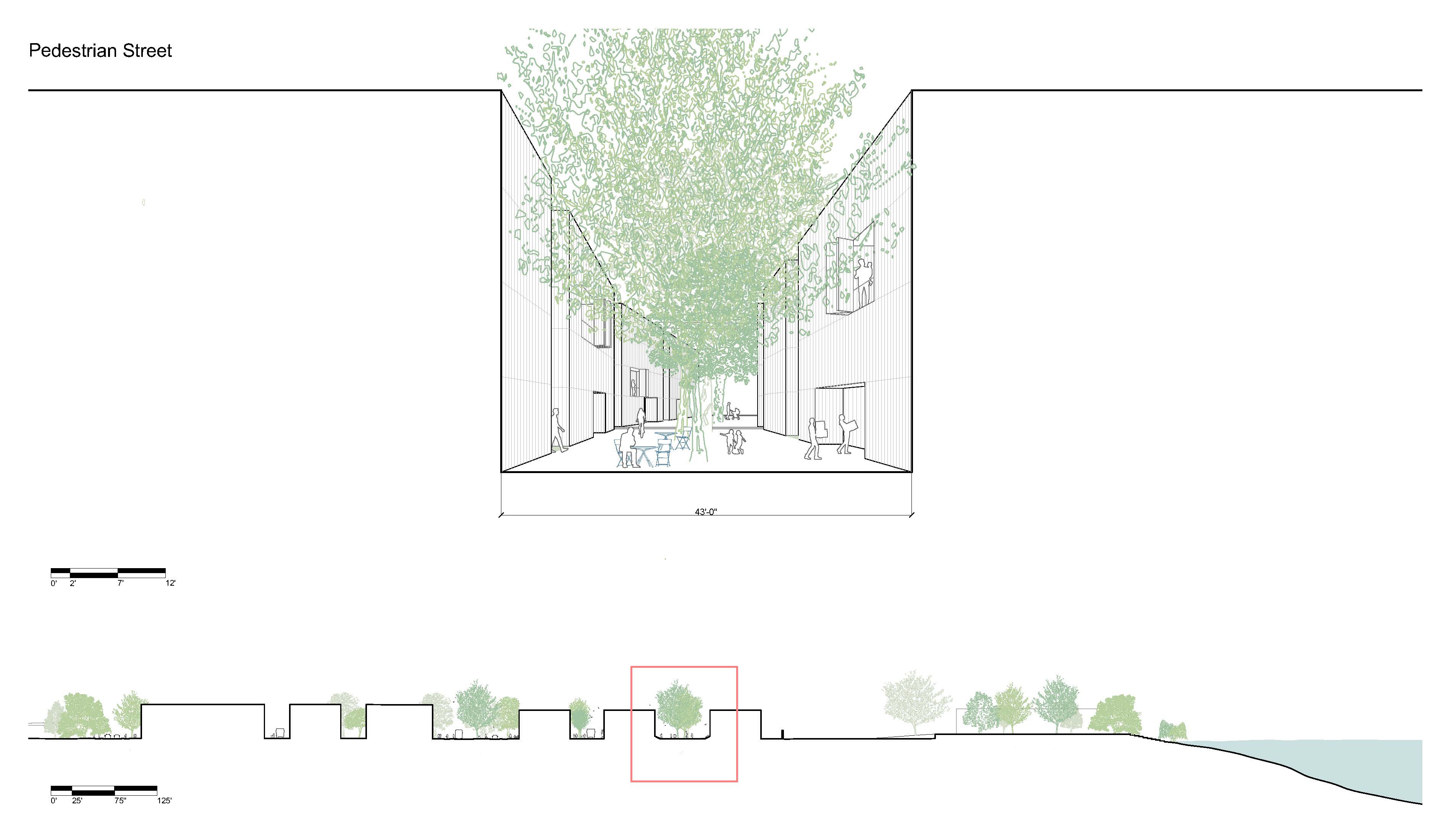 Resilience Center Design outdoor seating Review illustration Fall 3rd Year Studio