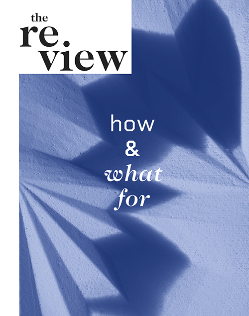 Book cover with the title "the review: how & what for" on top of a geometrical texture in the background