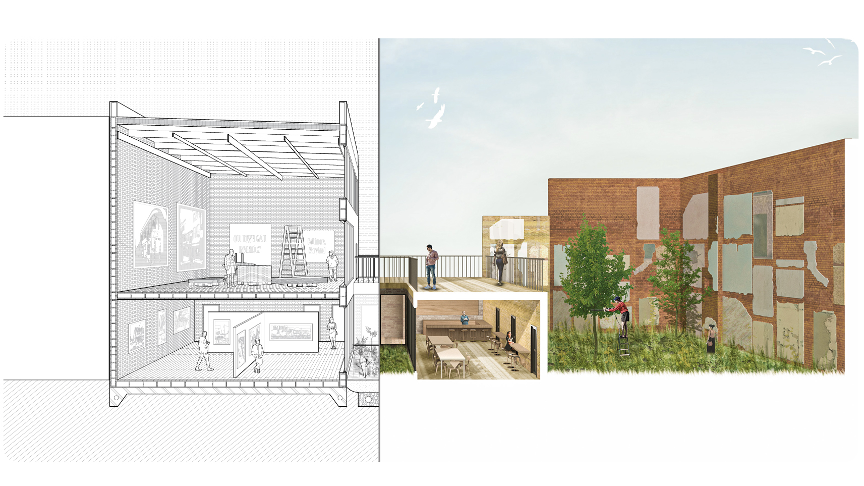 Alex Langley and Sam Spencer's Thesis Project museum section view