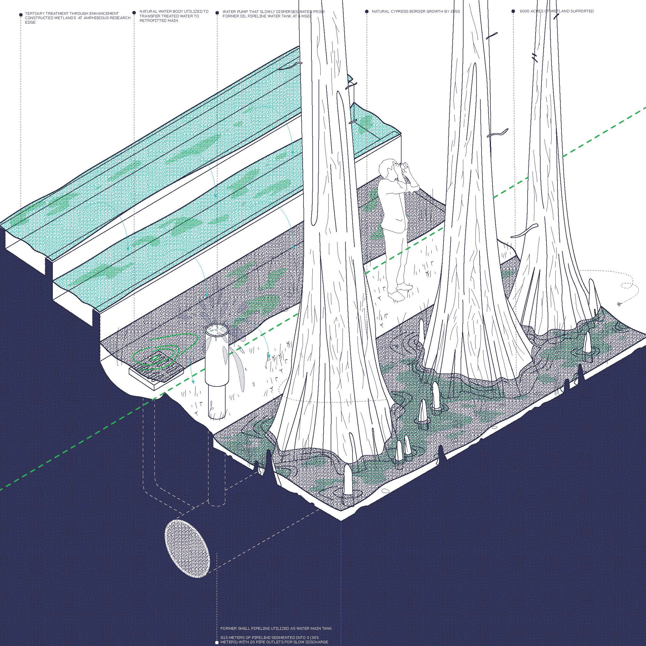 Axonometric sectional drawing of a tiered water management system with top two levels filled with water and bottom level having cypress trees.