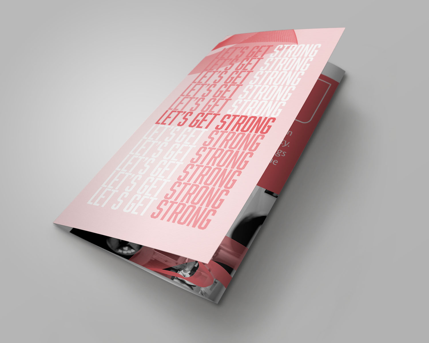 Image of Student Work Graphic Design Pamphlet 