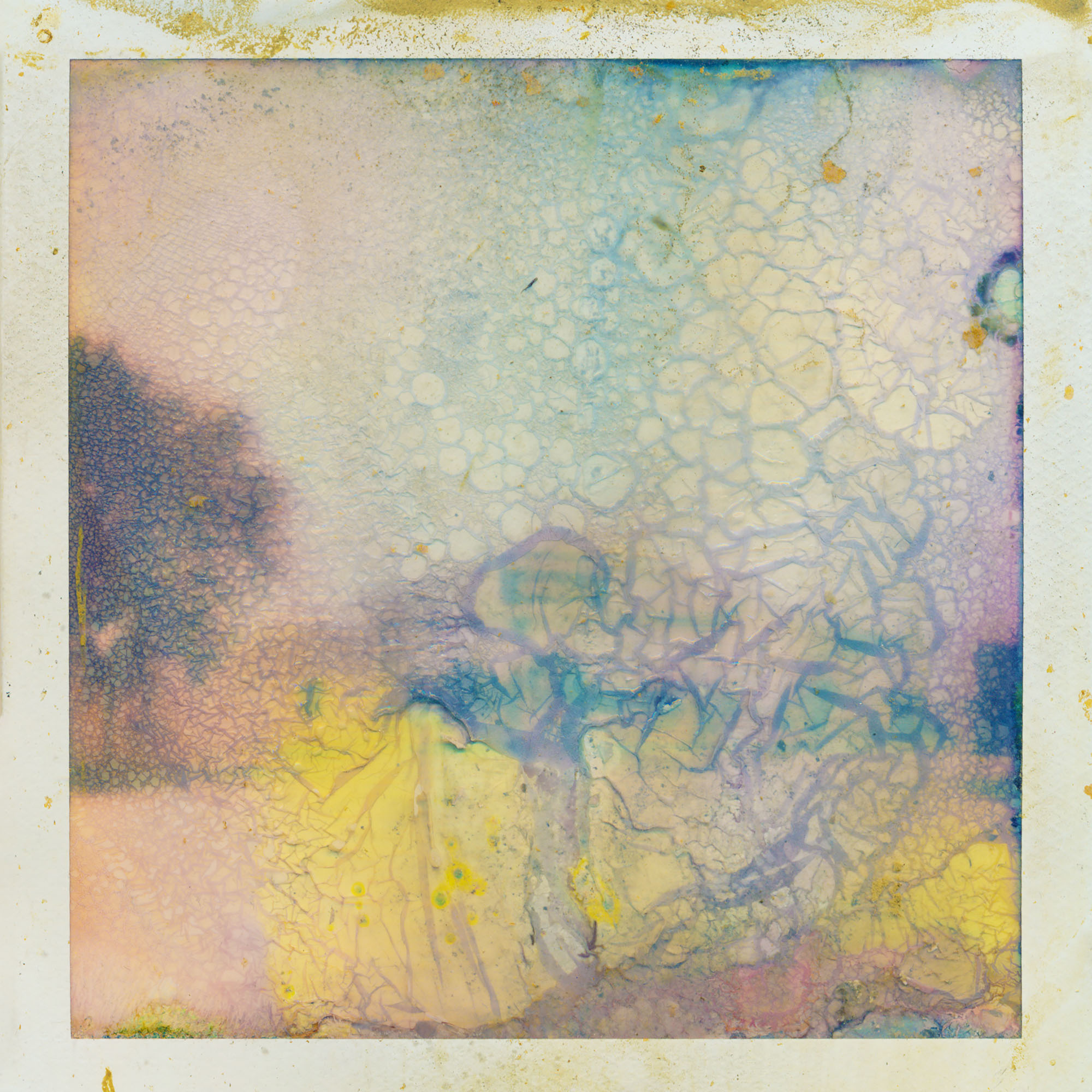 Augmented polaroid of a landscape with trees in the background, a piece of art by RENEE ROYALE.