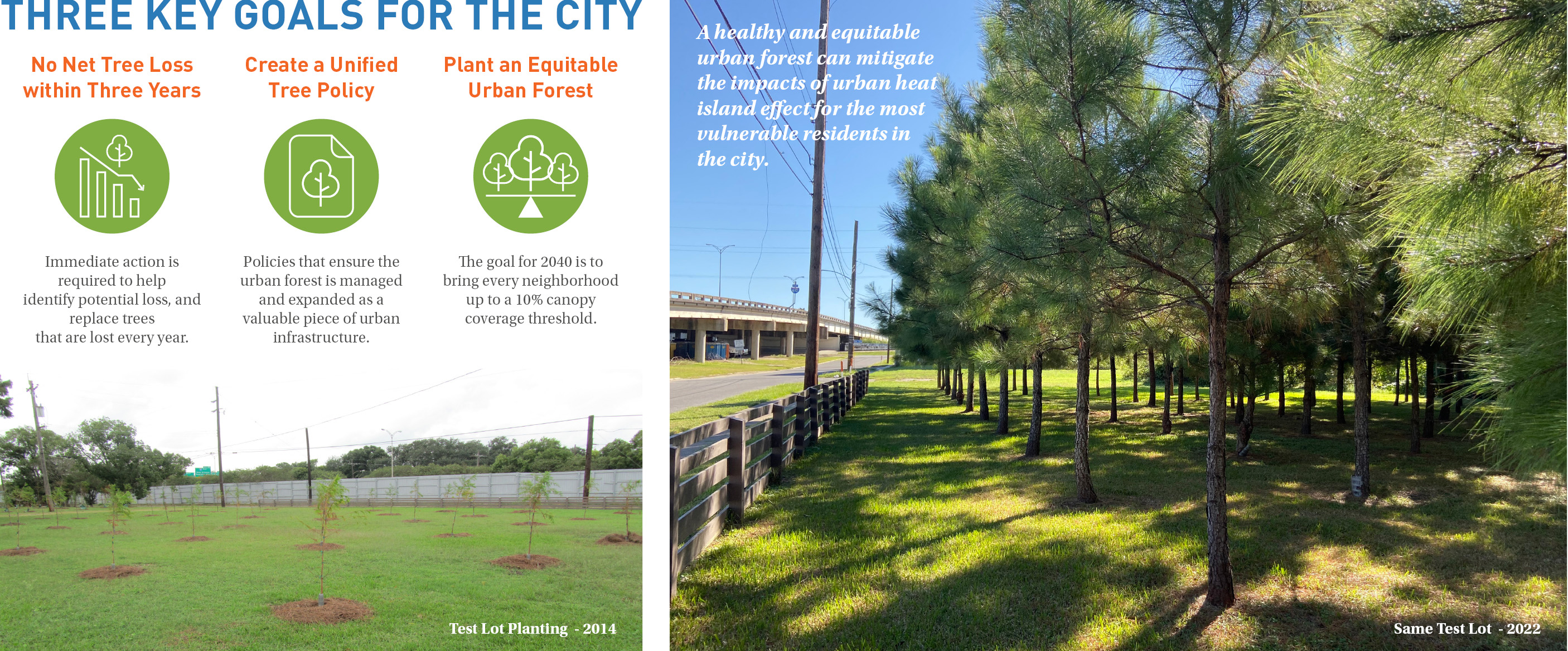Slide with plans and sections and photos of trees, as part of the New Orleans Reforestation Plan