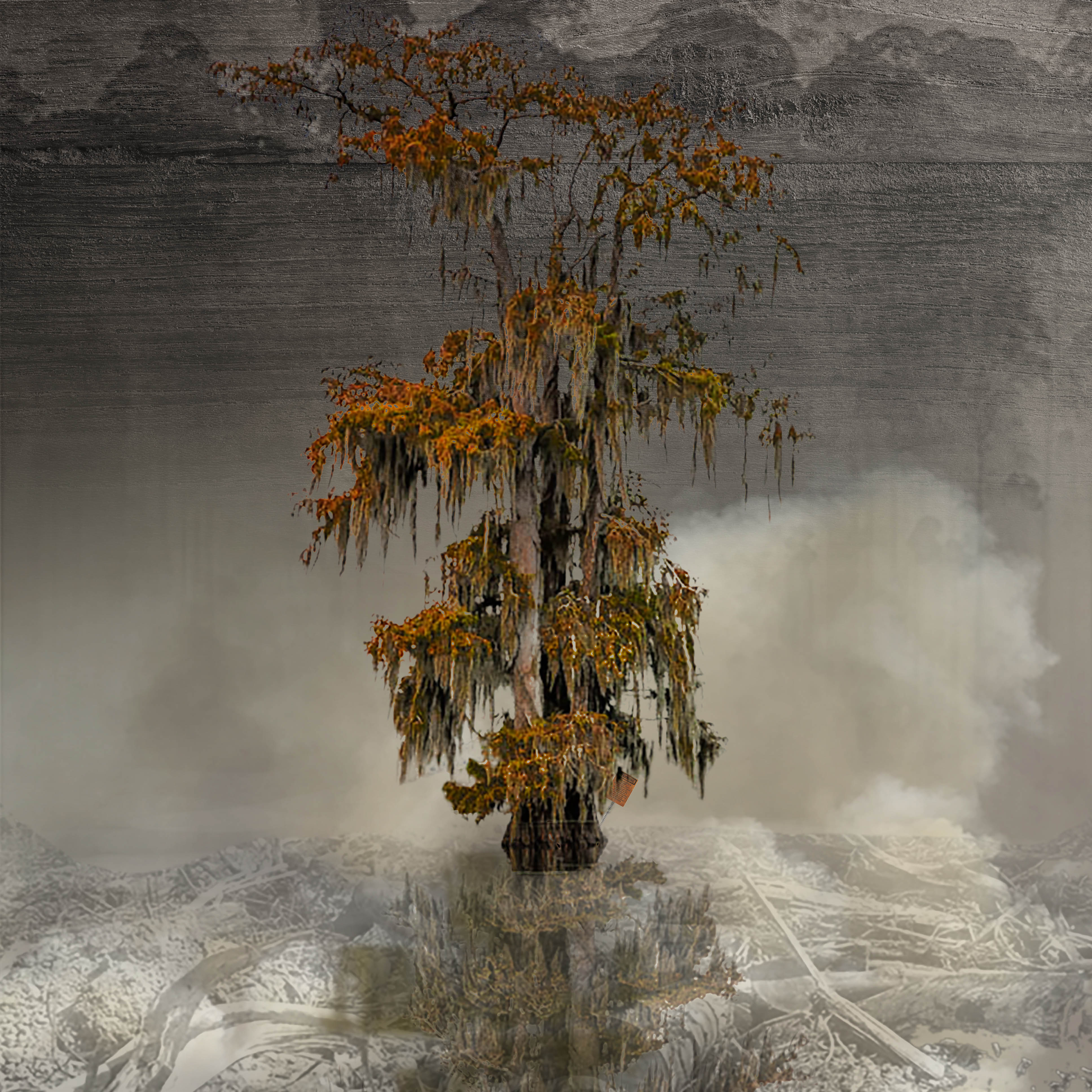 Digital, artistic collage of a single cypress tree in a marsh surrounded by smoke.