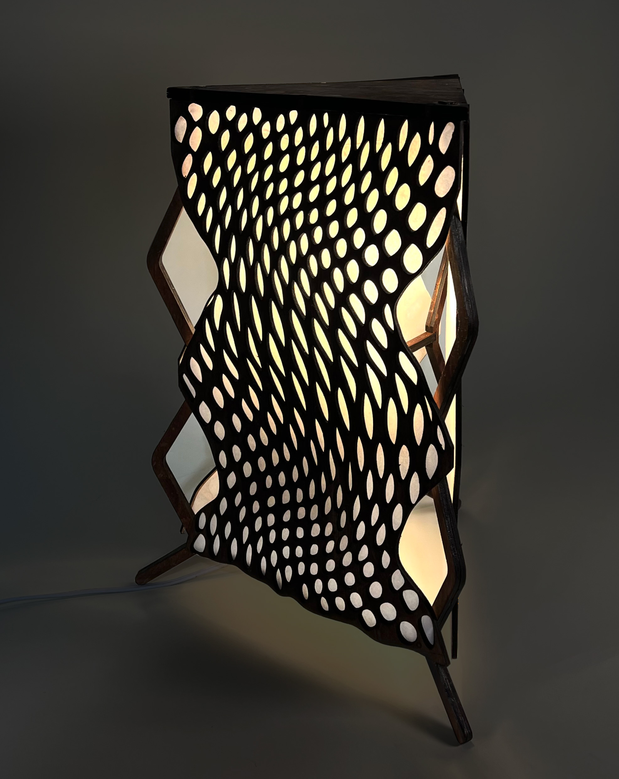 Lamp by Cole Hildebrandt