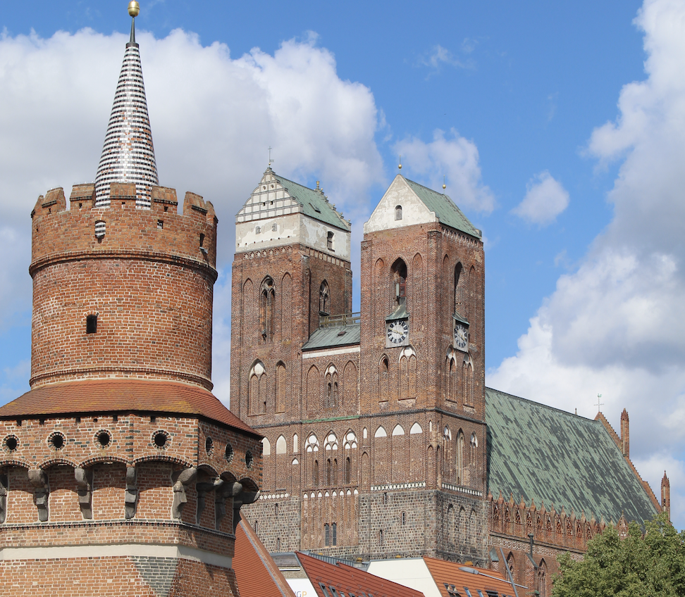 faraway image of gothic architectural roof and buildings