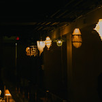 Image of light exhibition from 2024 Spring