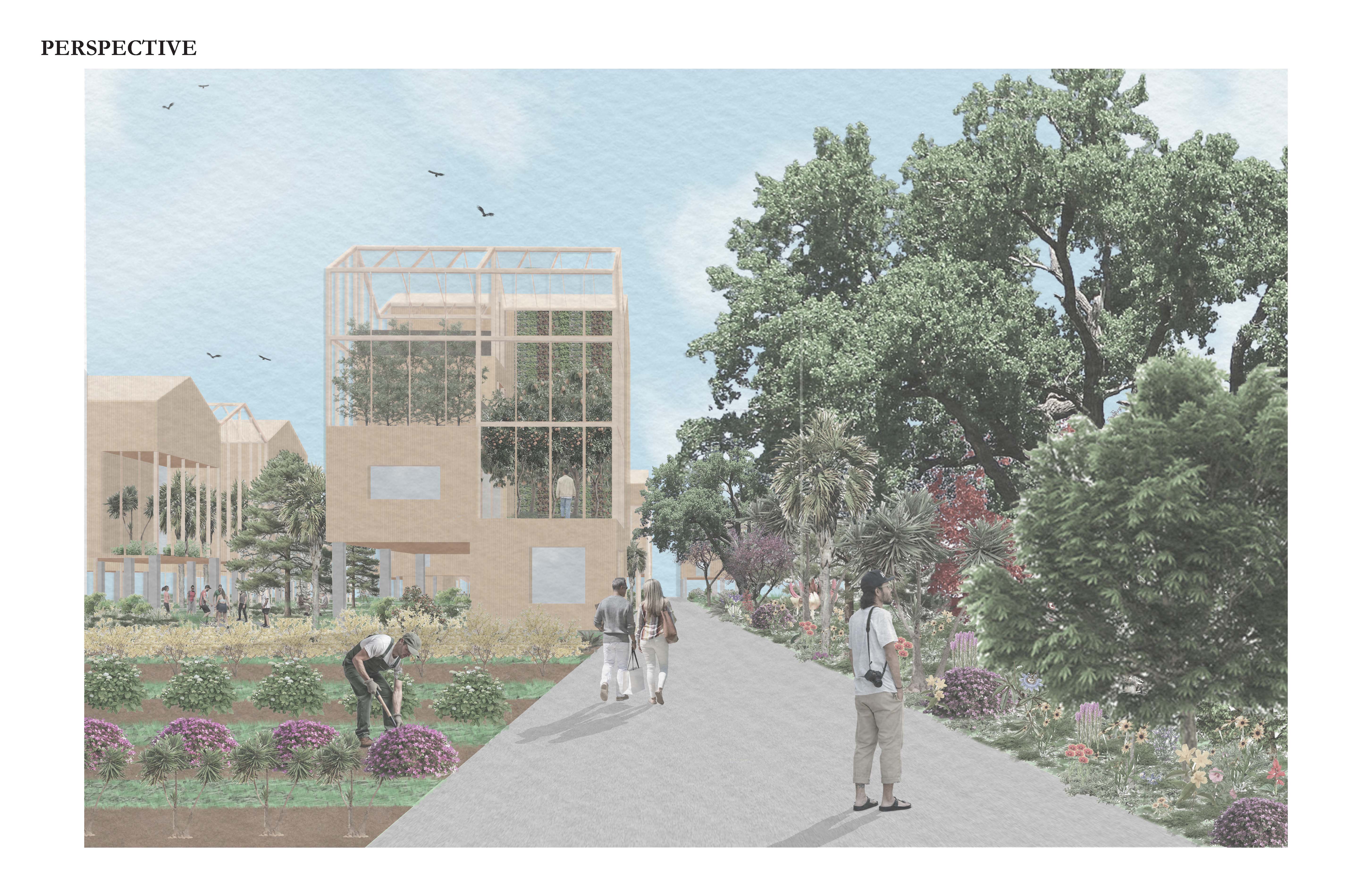 Perspective drawing of linear walking/biking path in a sustainably built community.