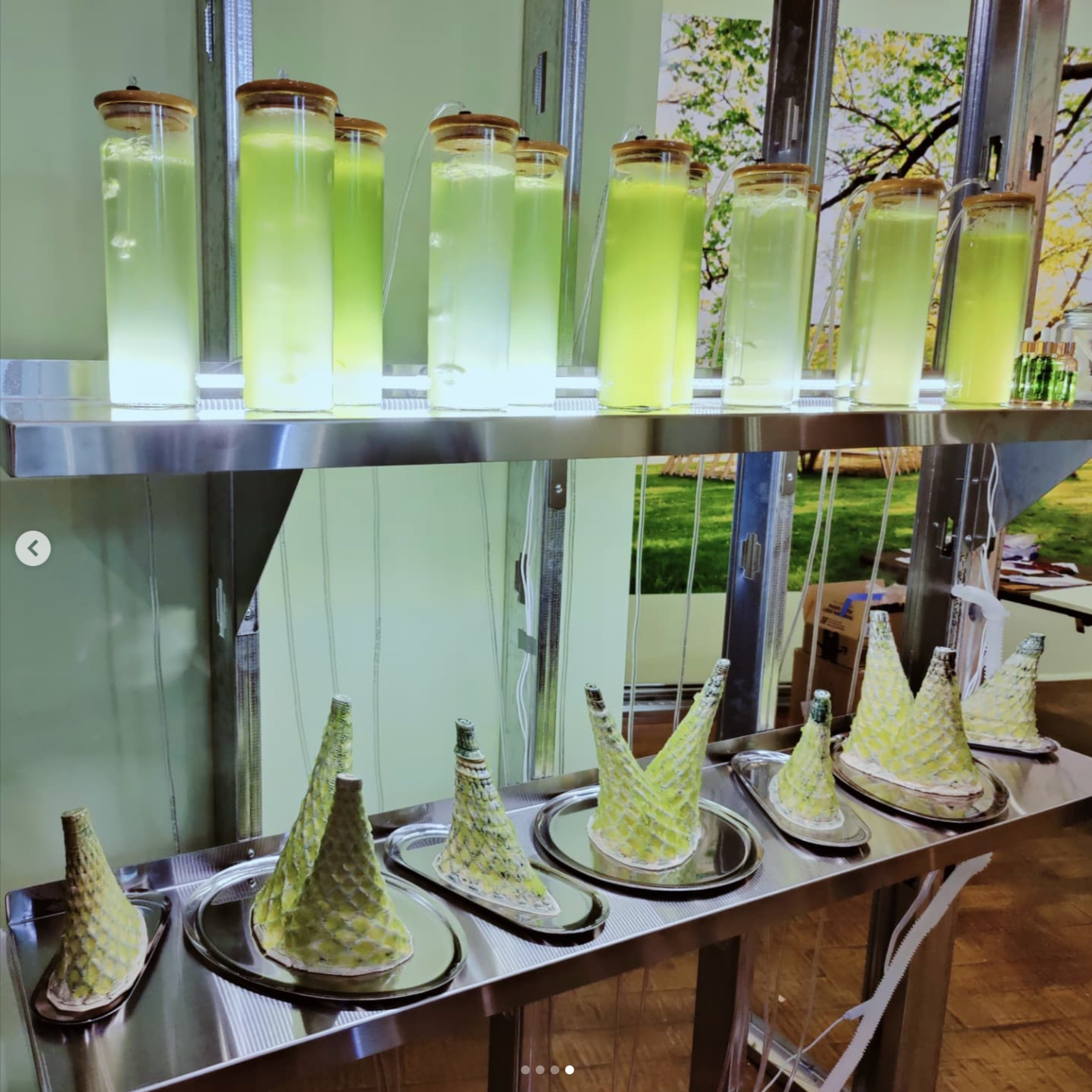 image of crawford's algea lab, green bottles, 