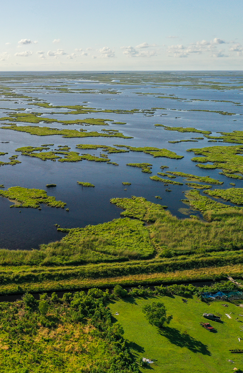 Camuti Kahler Marshland Image
