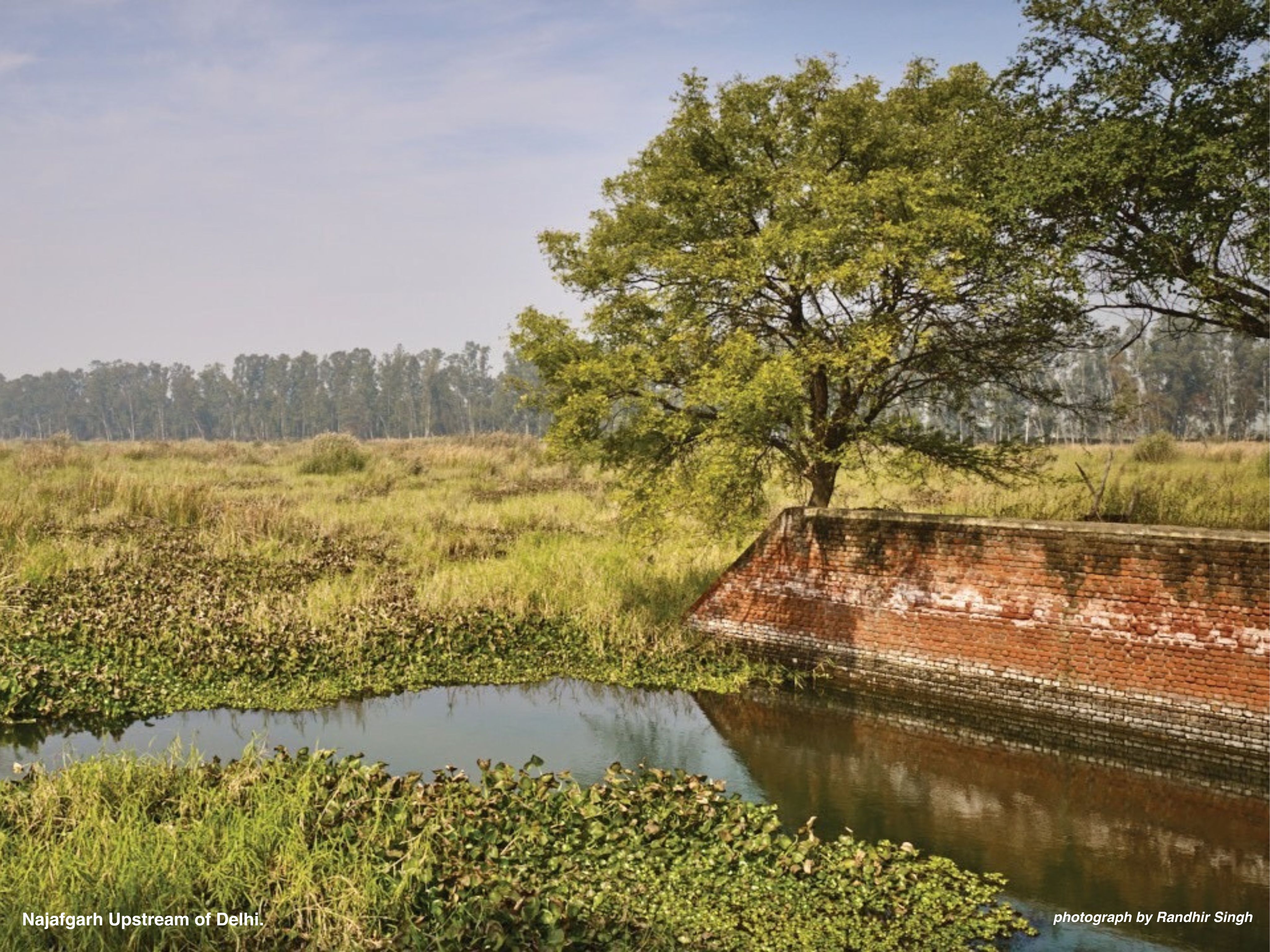 A view of the Najafgarh River upstream of Delhi, India