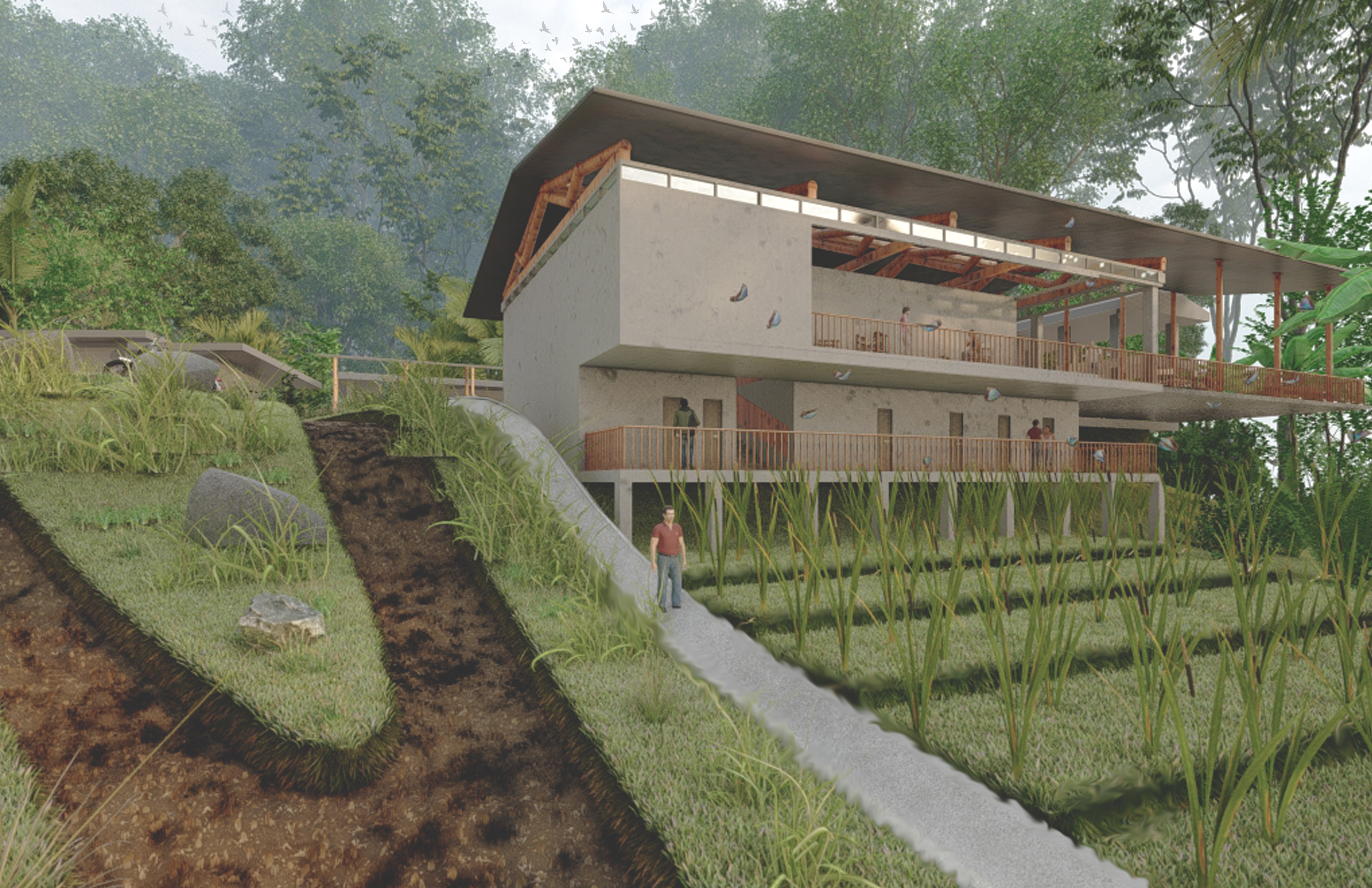 Ecuador Sustainability in the Tropics