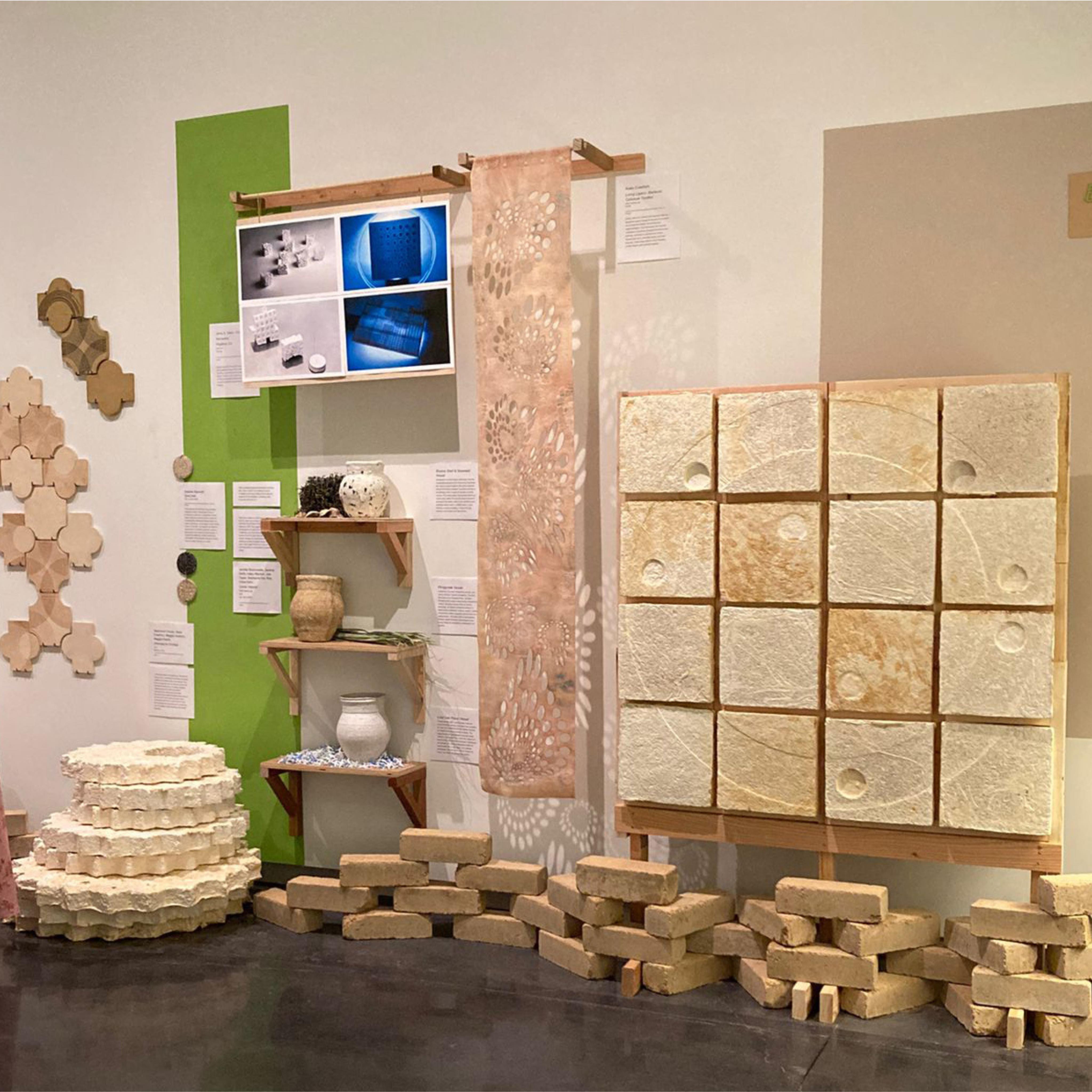The student work of Dr. Assia Crawford's studio at the Biogenic Futures exhibit