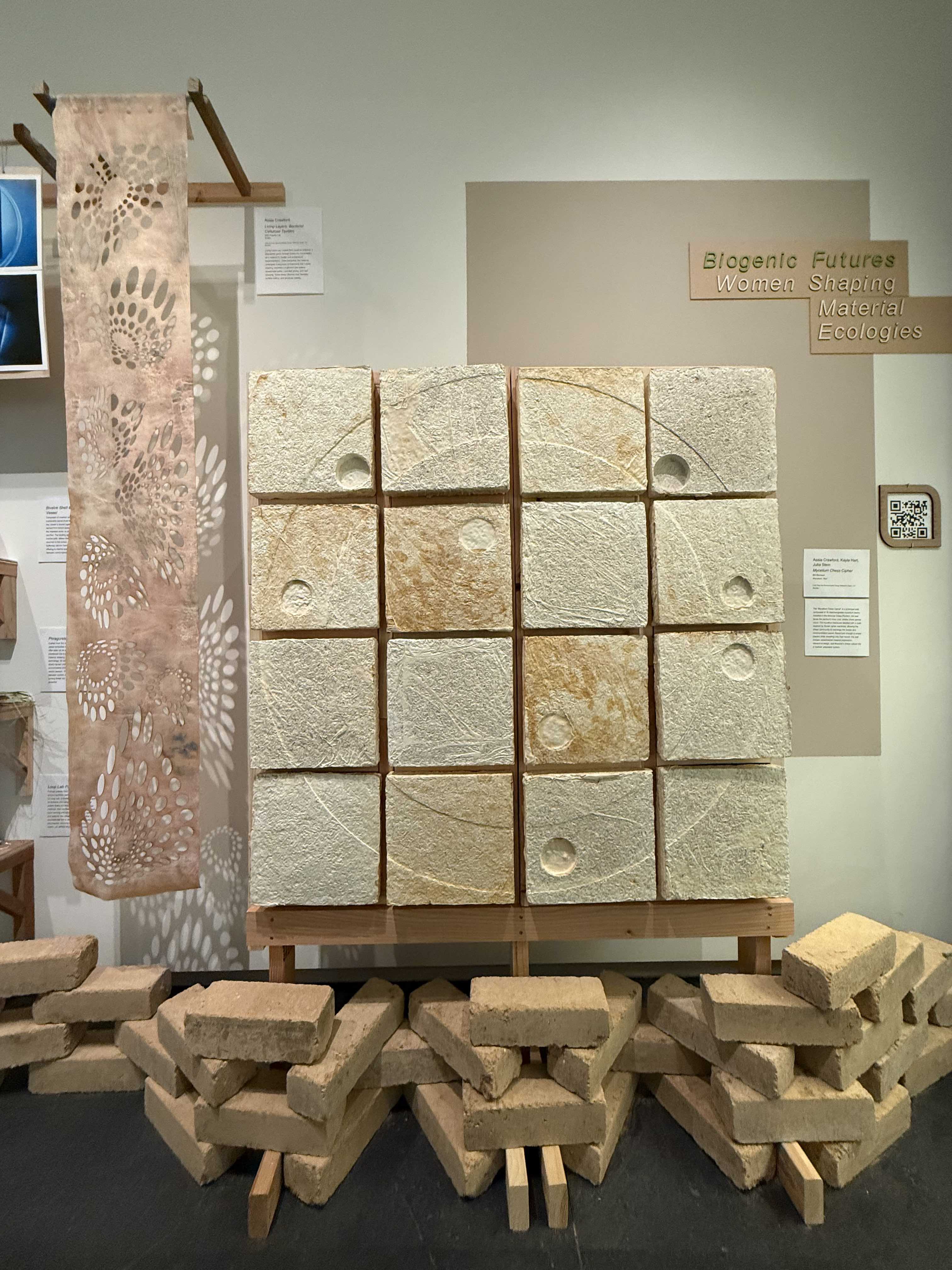 The blocks at Biogenic Futures