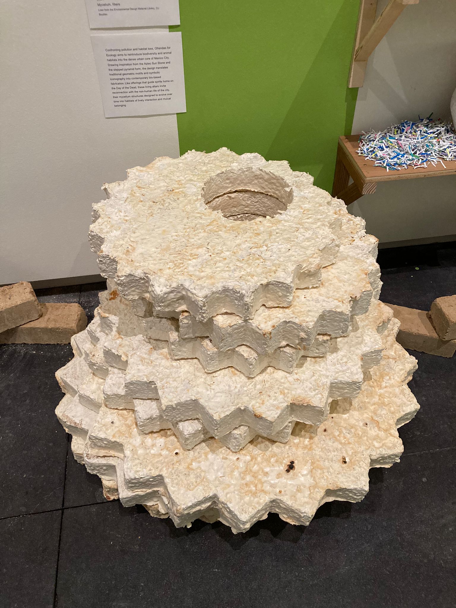 close up of wheels at the Biogenic Futures exhibit