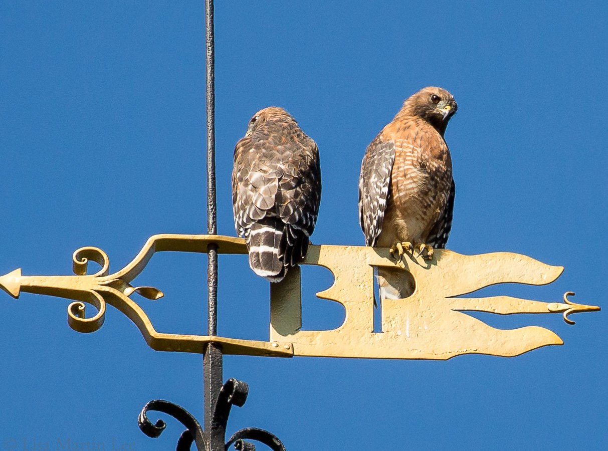 Blacksmith Lecture Photo