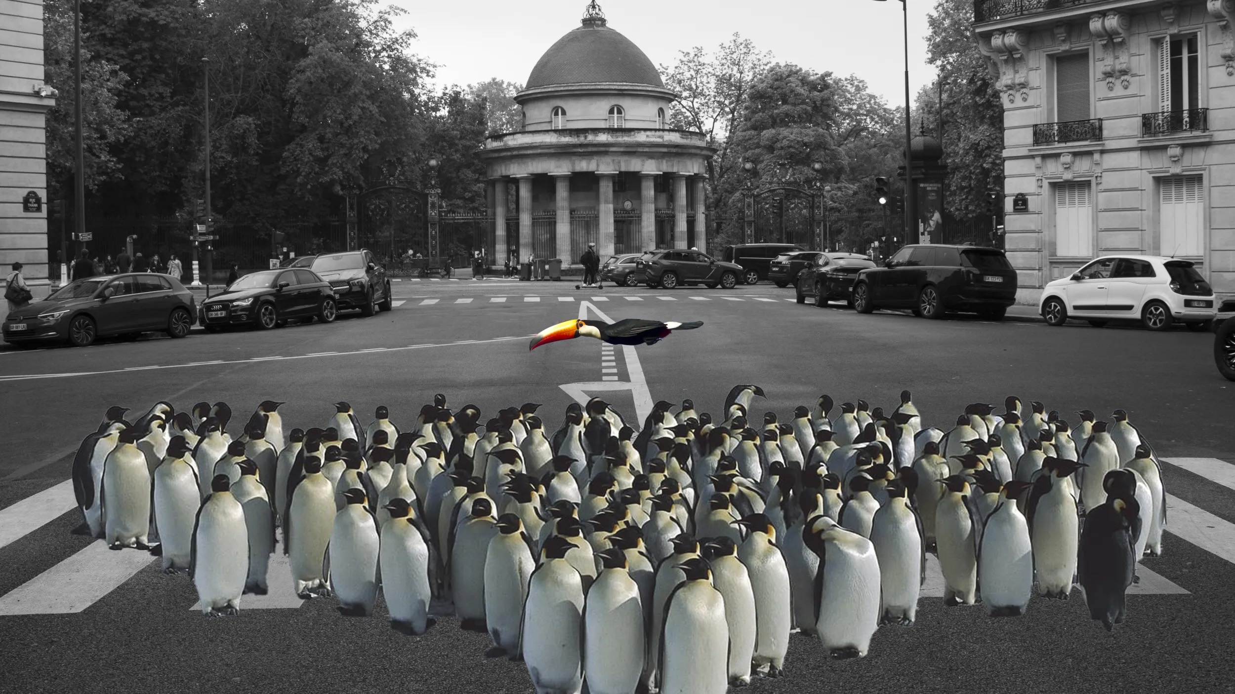 Penguins in Paris