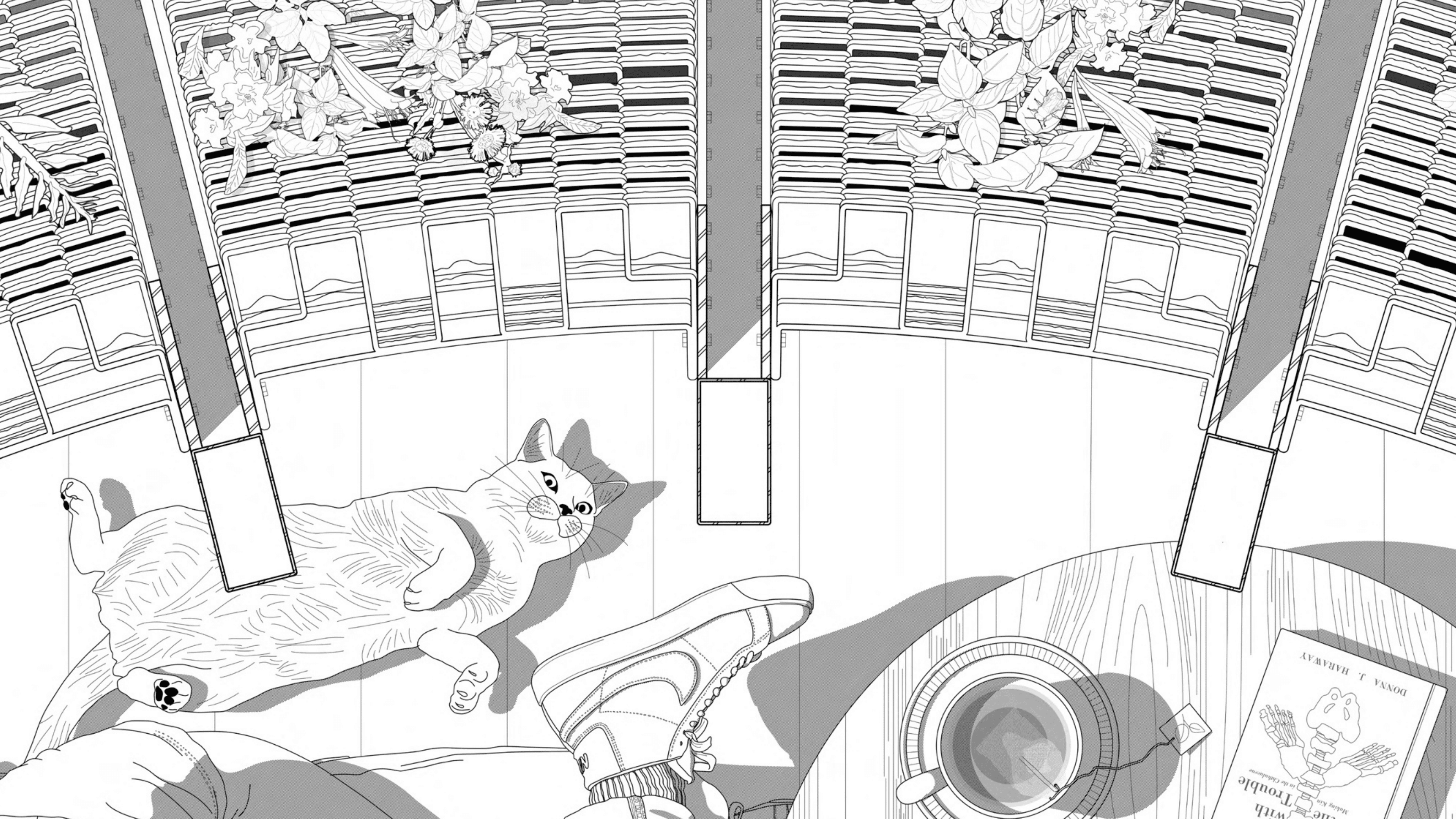 Line drawing of a facade system as seen from the perspective of a person sitting on a porch with a cat laying by their feet.