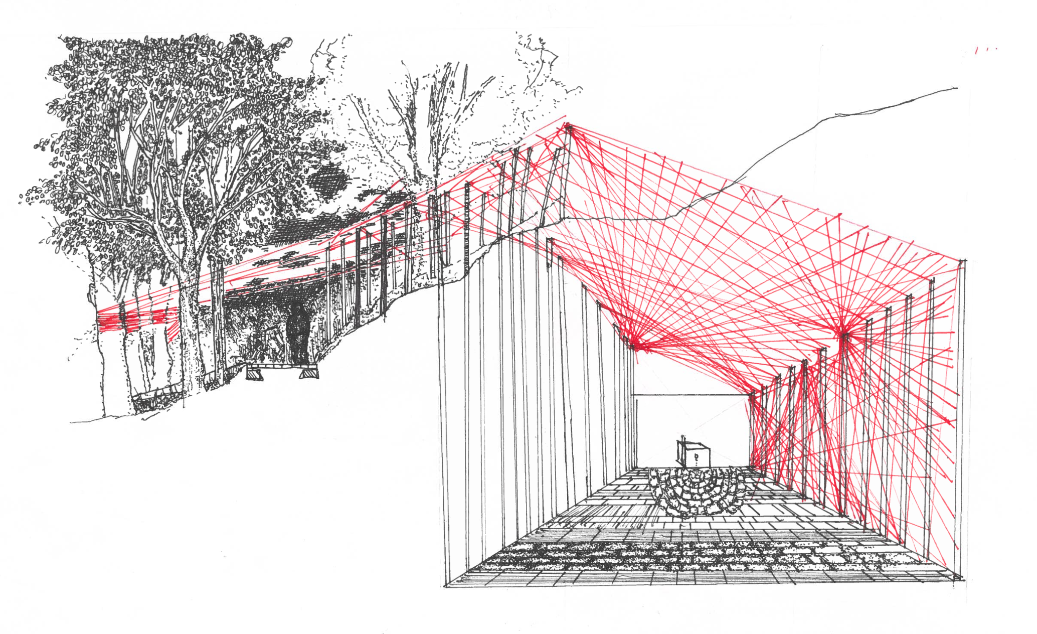 Rich & Meisler Thesis Images