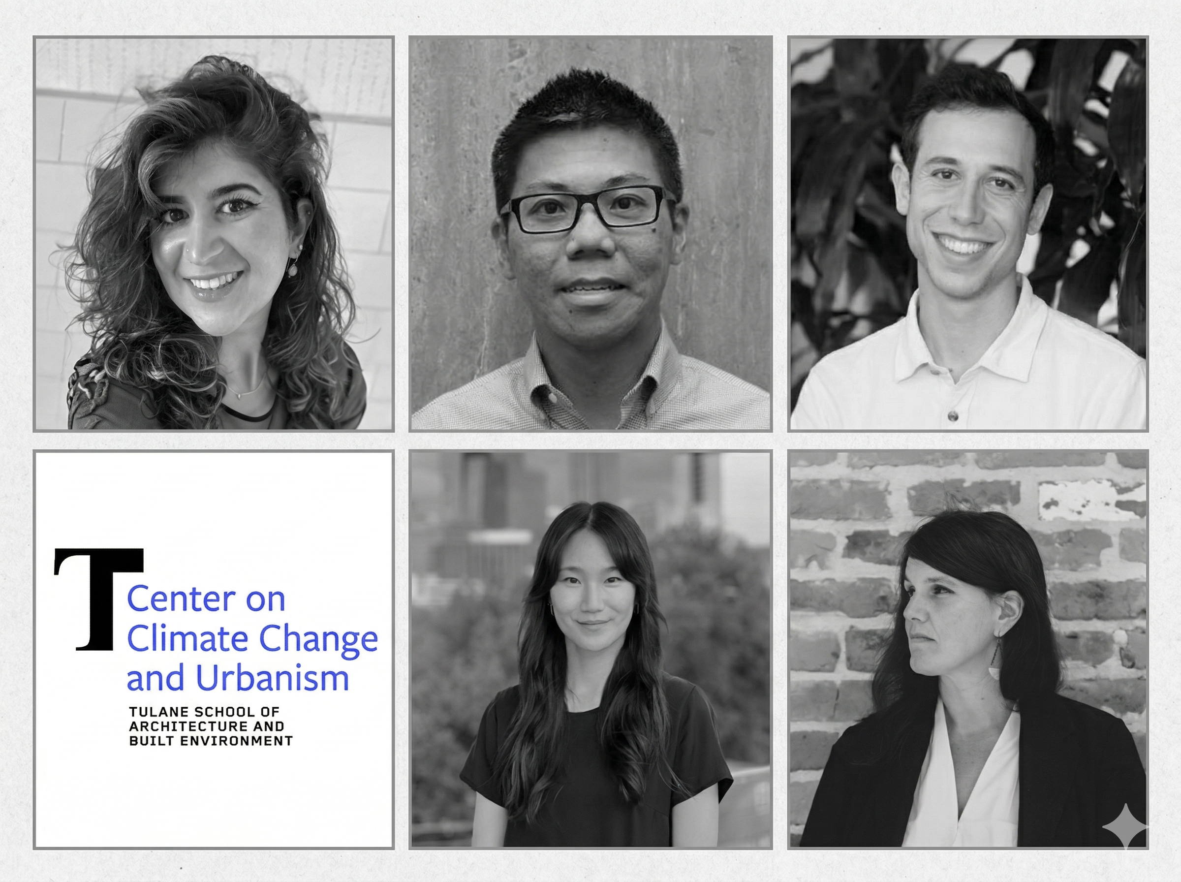 grid of ccu faculty fellows