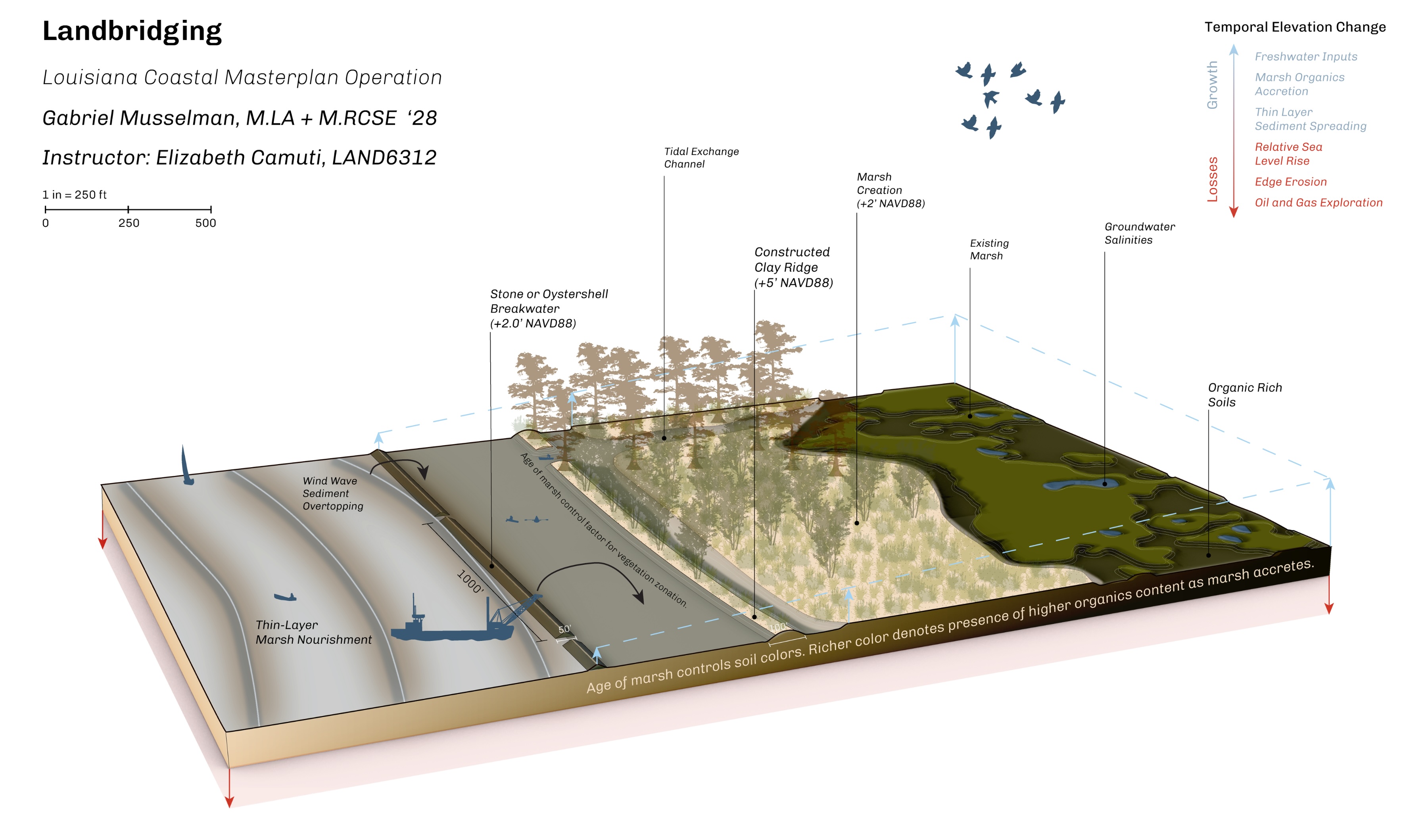 Gabe Musselman's rendering showing landbridging