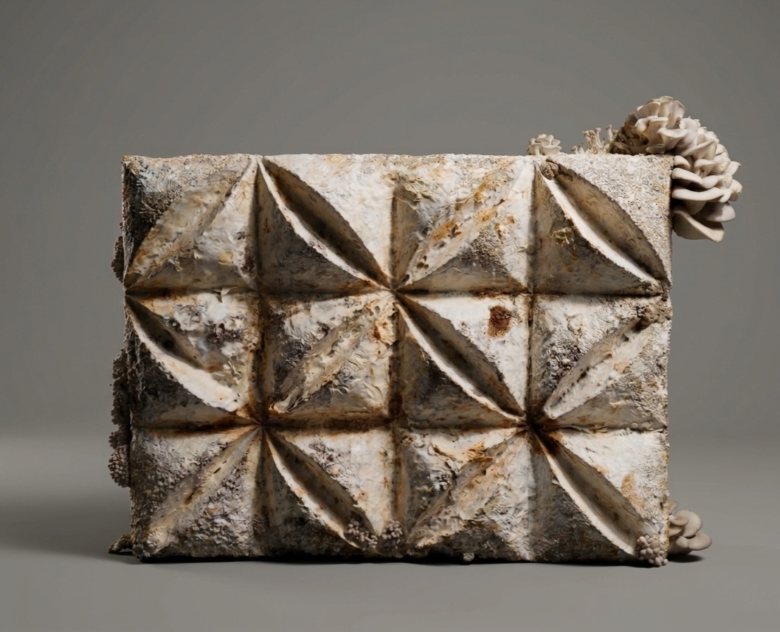Panel of mycelium by Assia Crawford