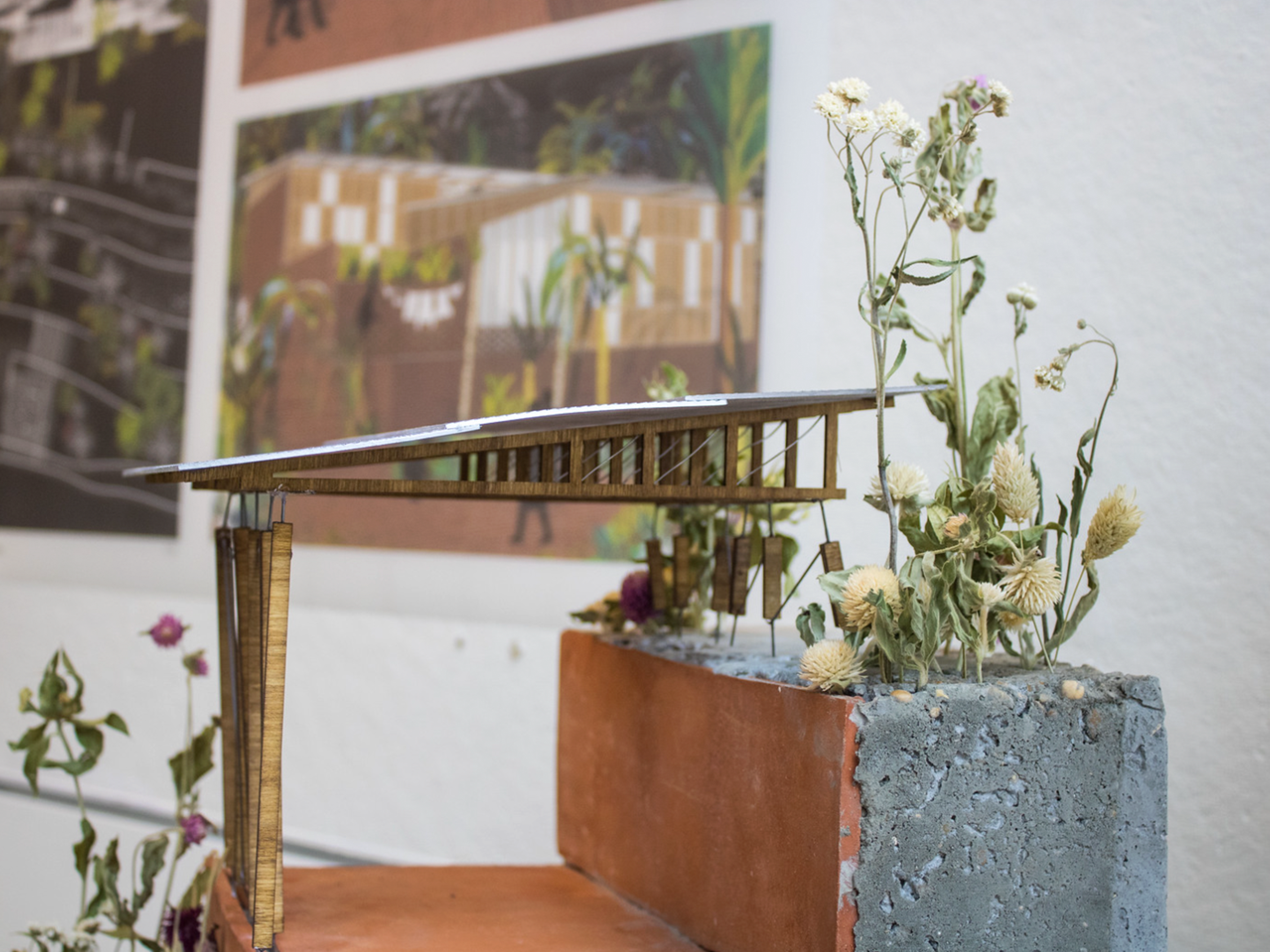 Model of house made of wood and propped up on a brick with natural plants, window behind it
