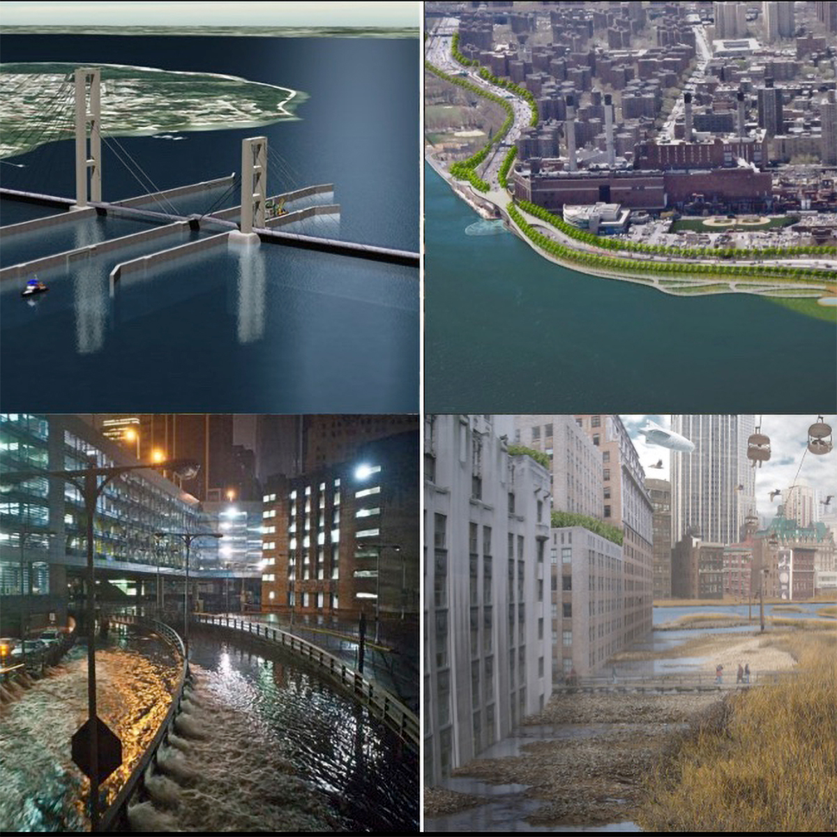 Marina Alberti project