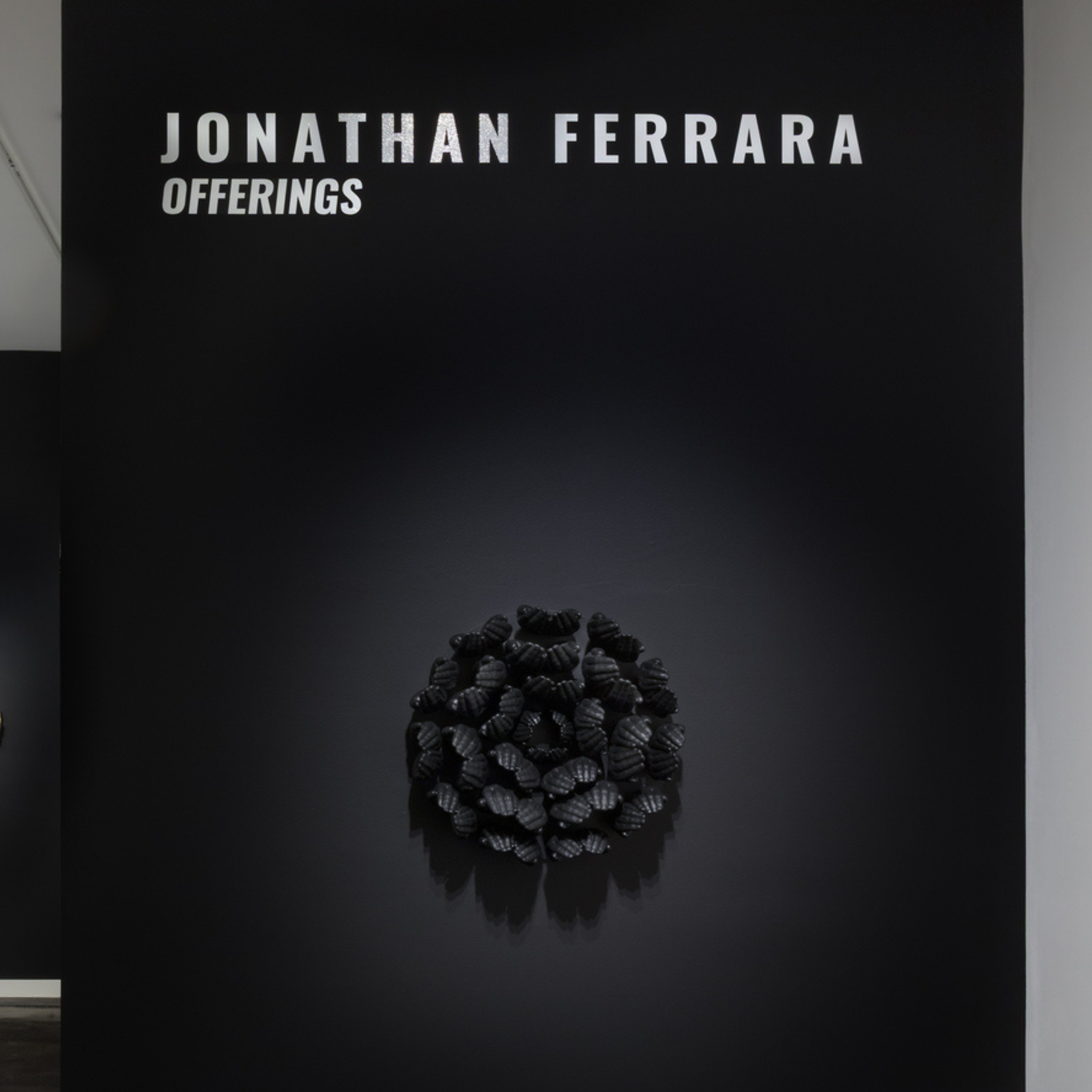 Jonathan Ferrara