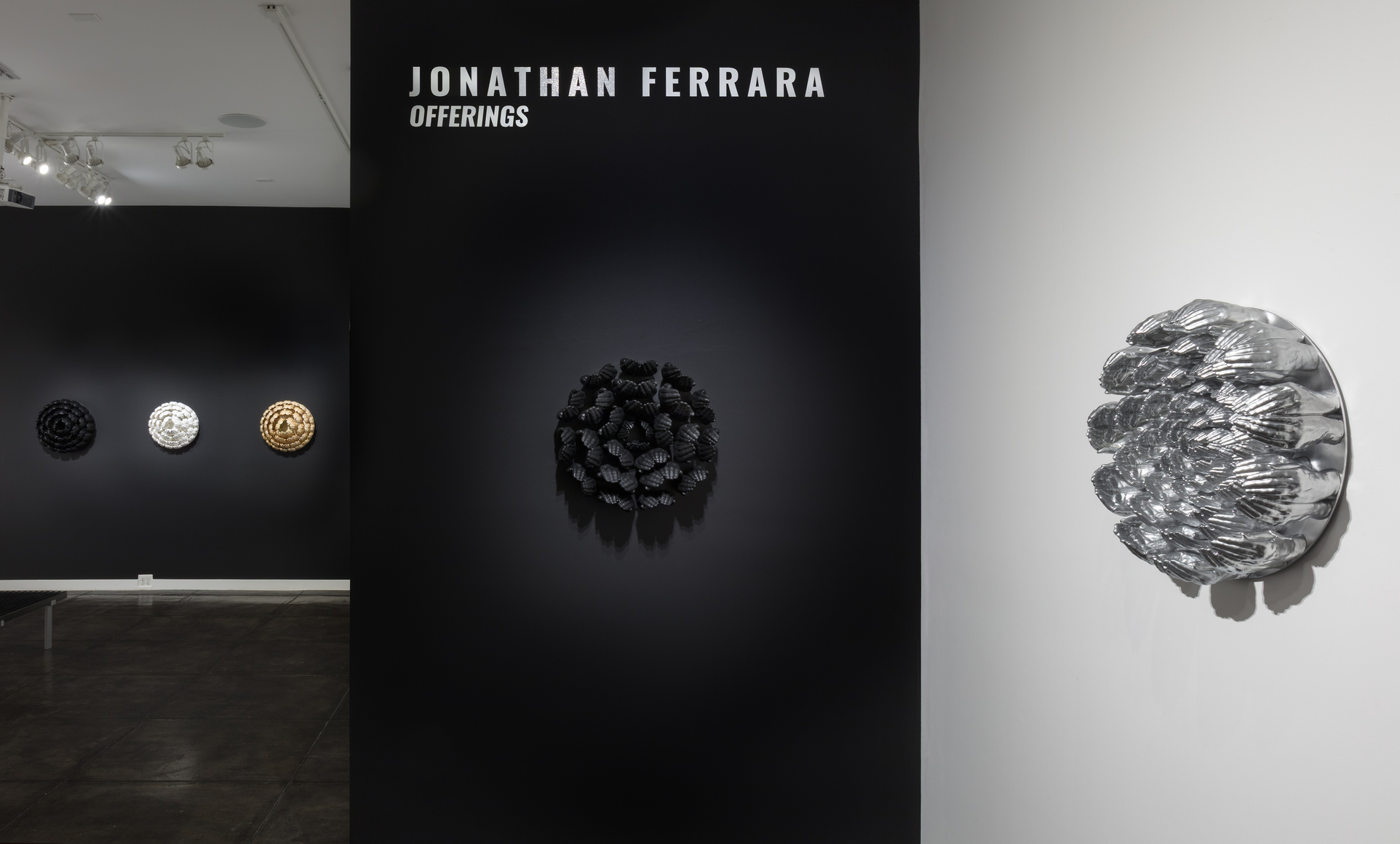 Jonathan Ferrara