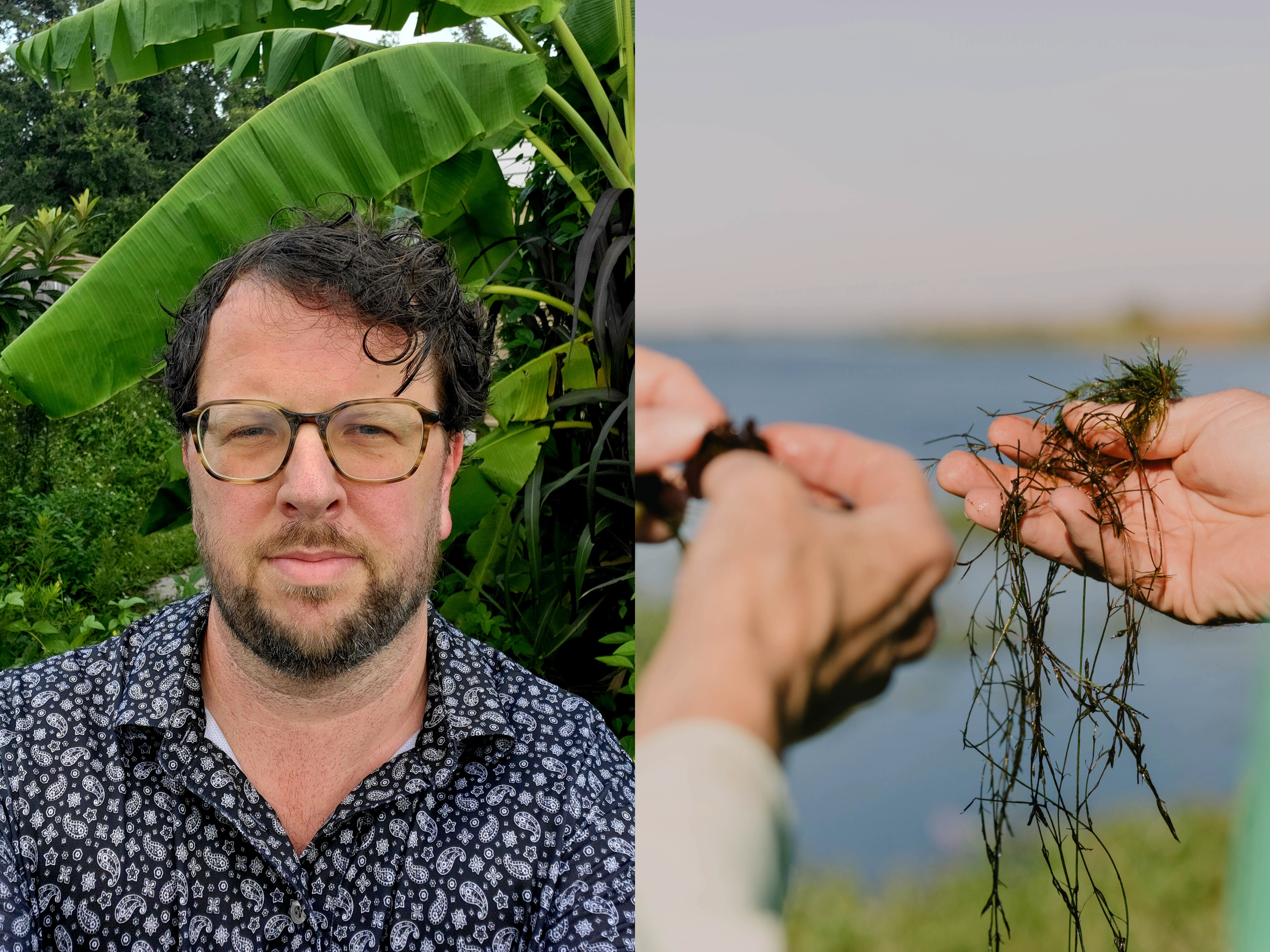 Two photos, left showing a headshot of Brian White, a man wearing a blue collared shirt and glasses, with plants behind him. Second photo on the right shows three hands holding algae with a lake in the background