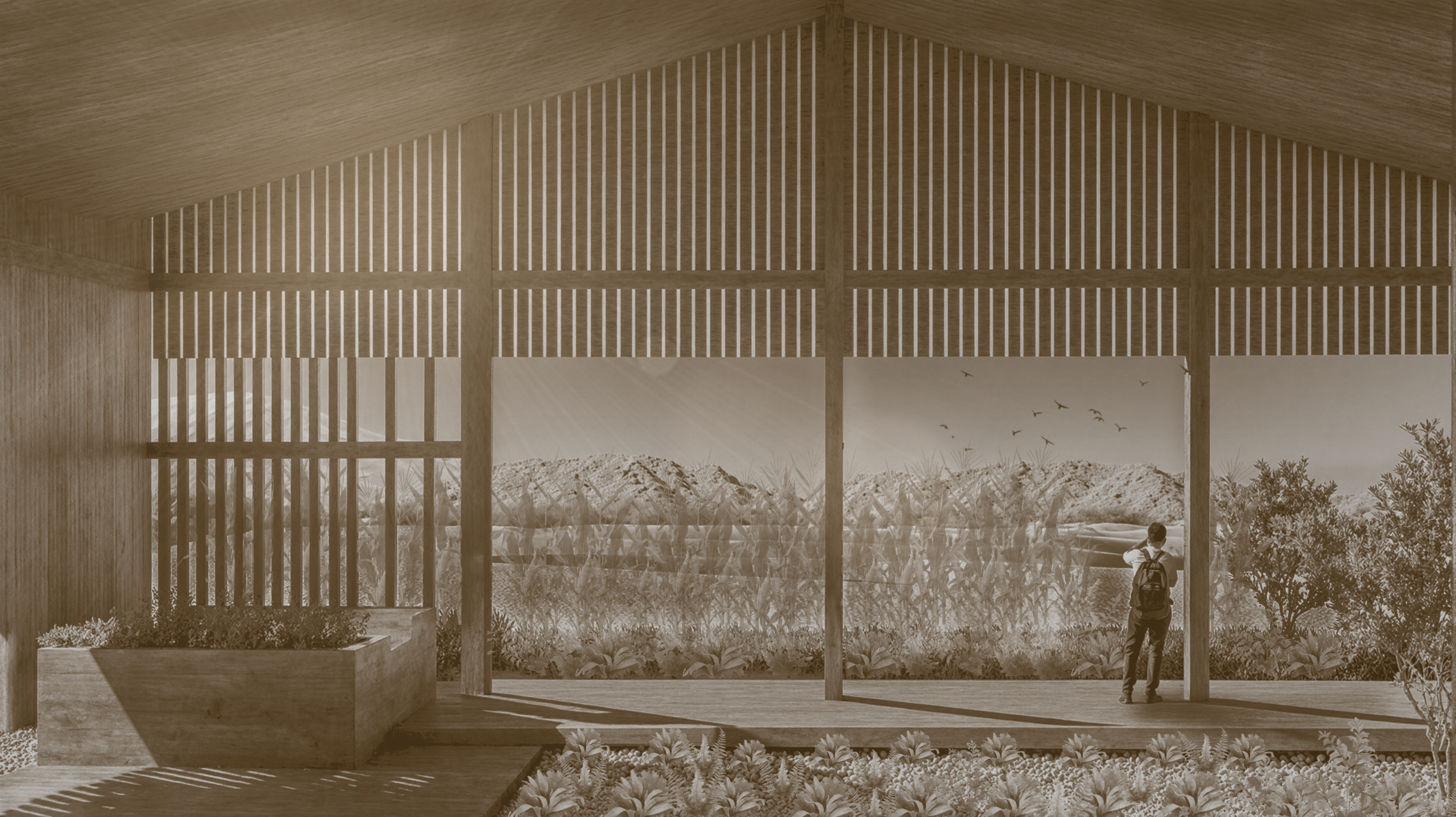 Atacama Desert Project
