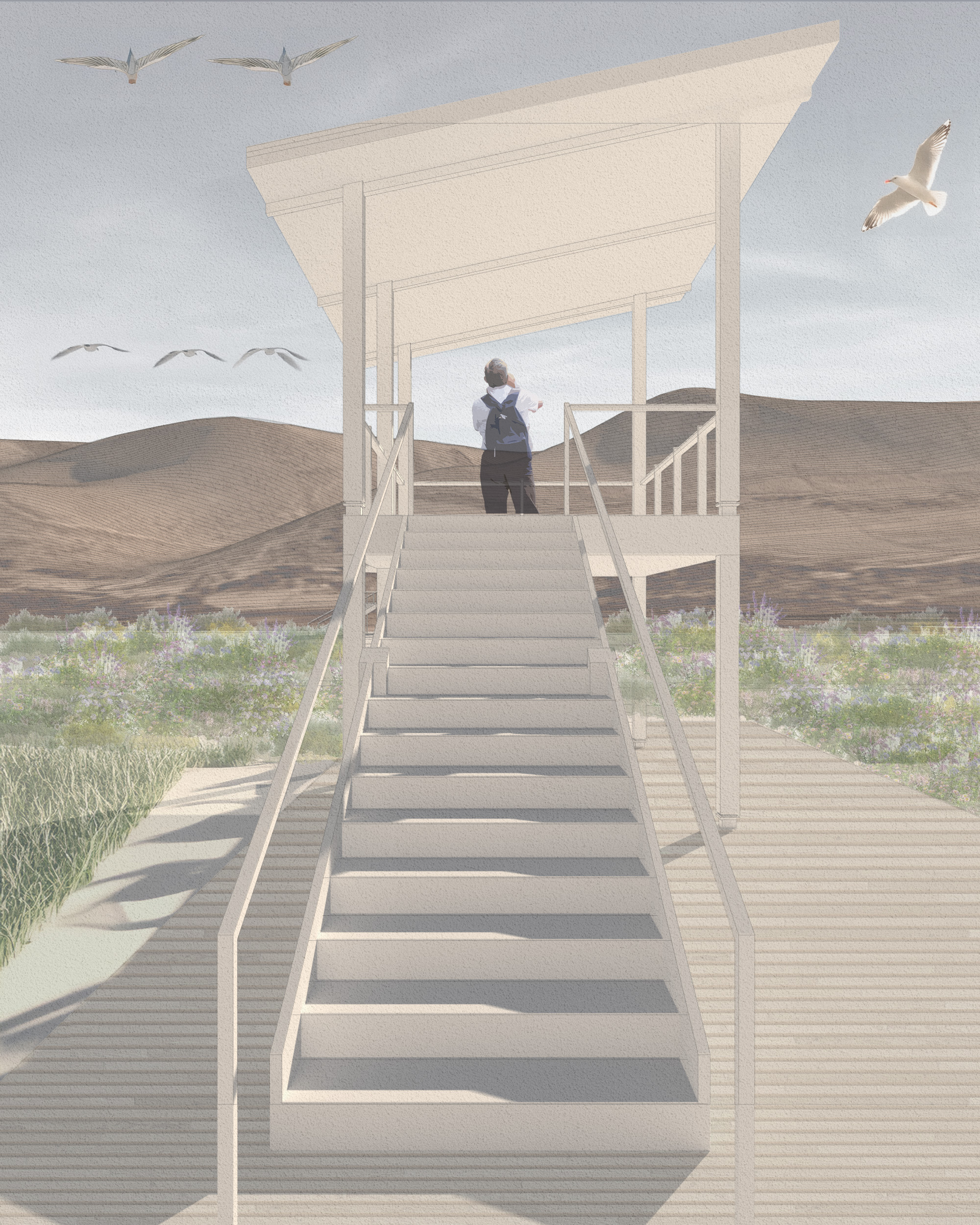 Atacama Desert Project