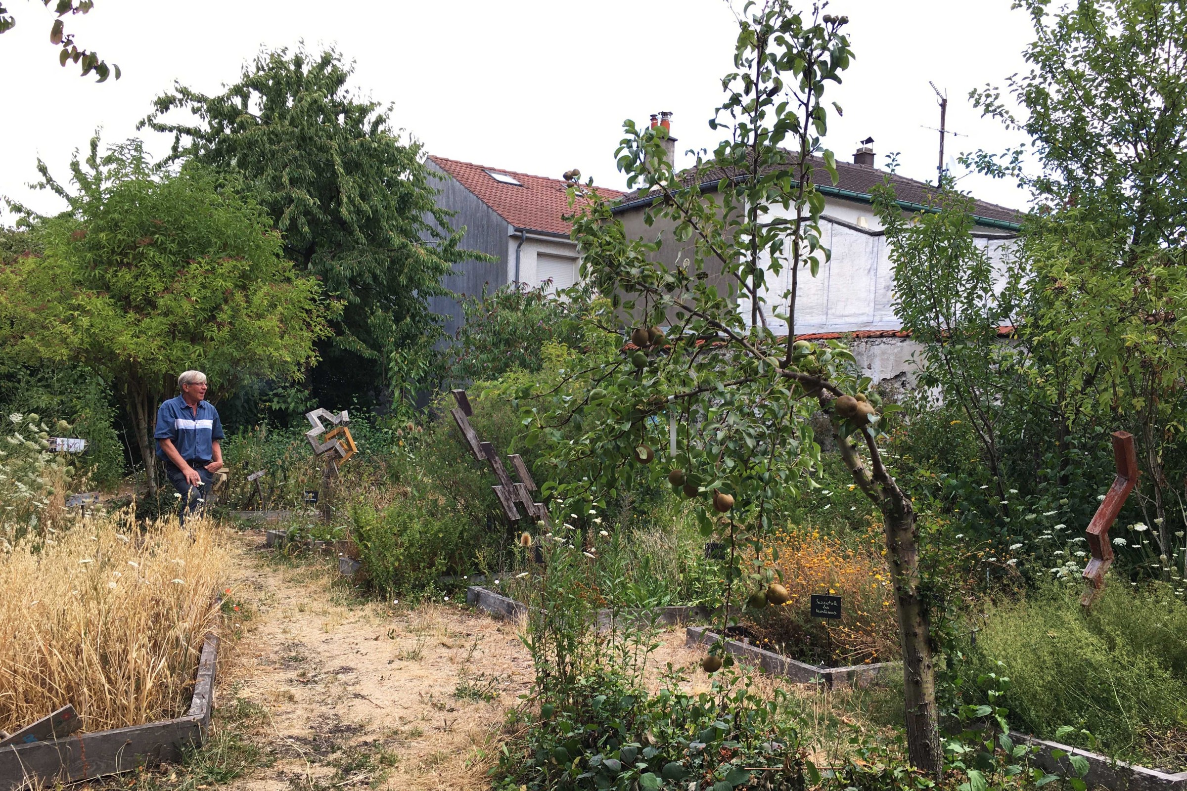 Photo of peach orchard in Montreuil, Paris, France