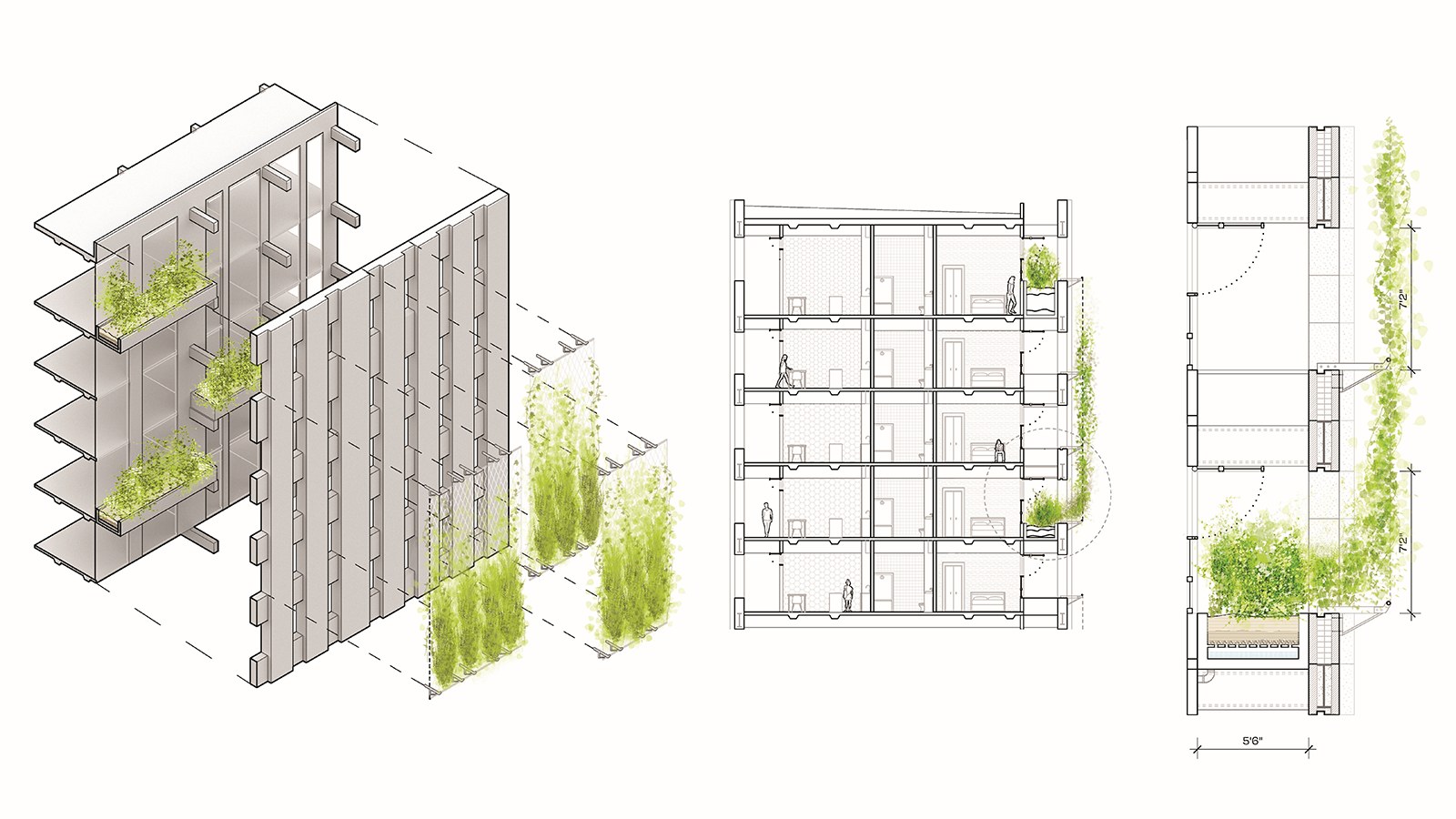 section plans of Valentina Mancera and Natalie Rendleman's thesis