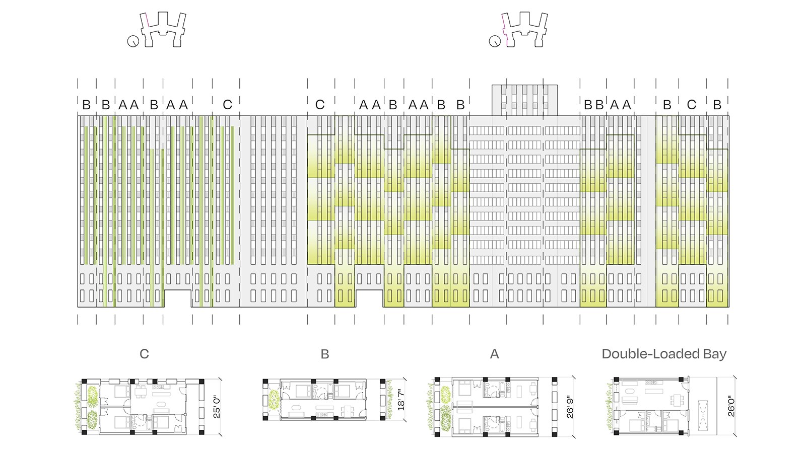 Valentina Mancera and Natalie Rendleman's thesis diagram