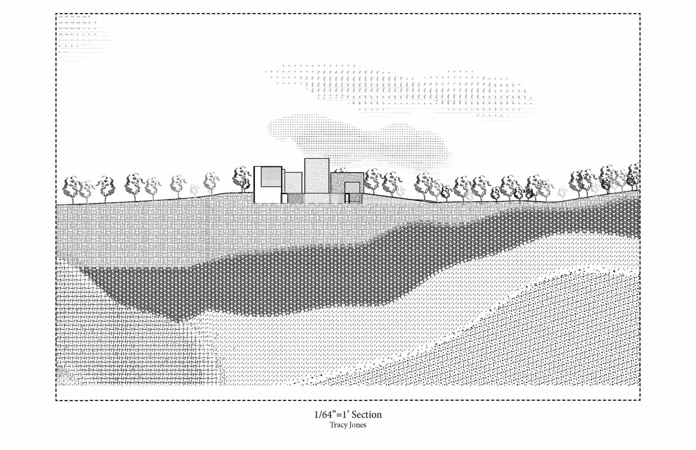 Second Year Design Studio section plan