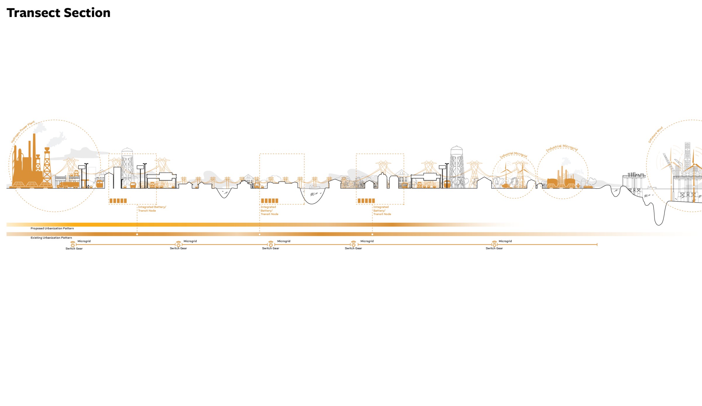 Gulf Coast Research Studio Transect Section