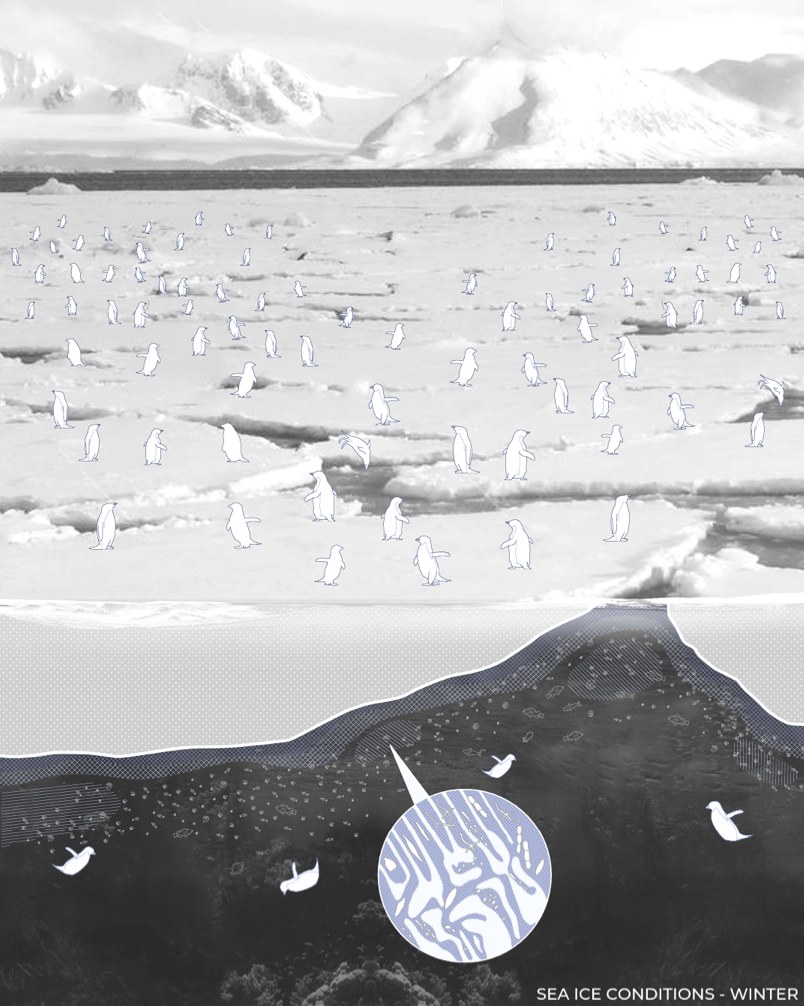 Seth Laskin's Thesis Project: winter sea ice conditions rendering