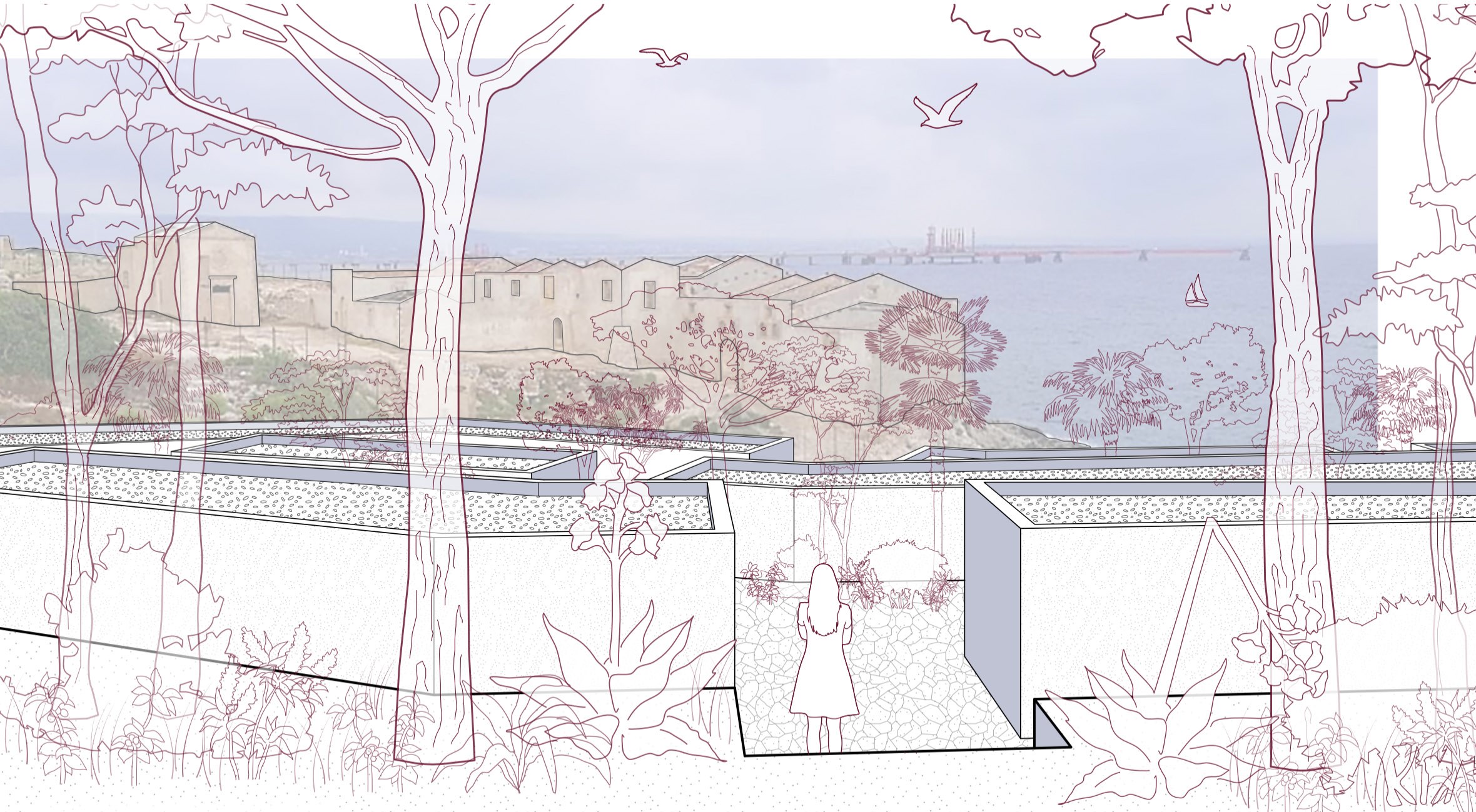 Giuliana Vaccarino Gearty’s Thesis: perspective of “lodges” looking towards tonnara
