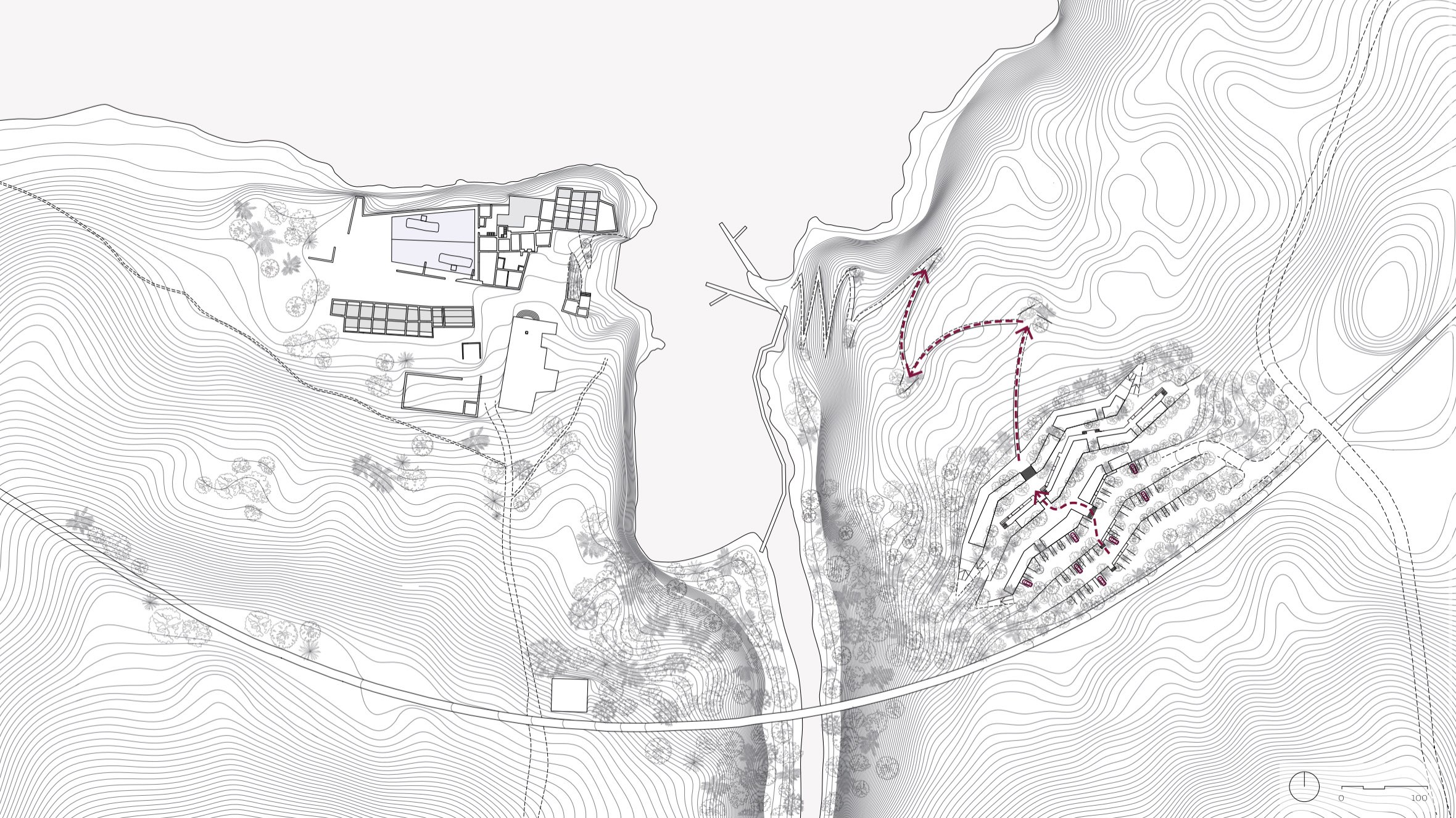 Giuliana Vaccarino Gearty’s Thesis: proposed site plan