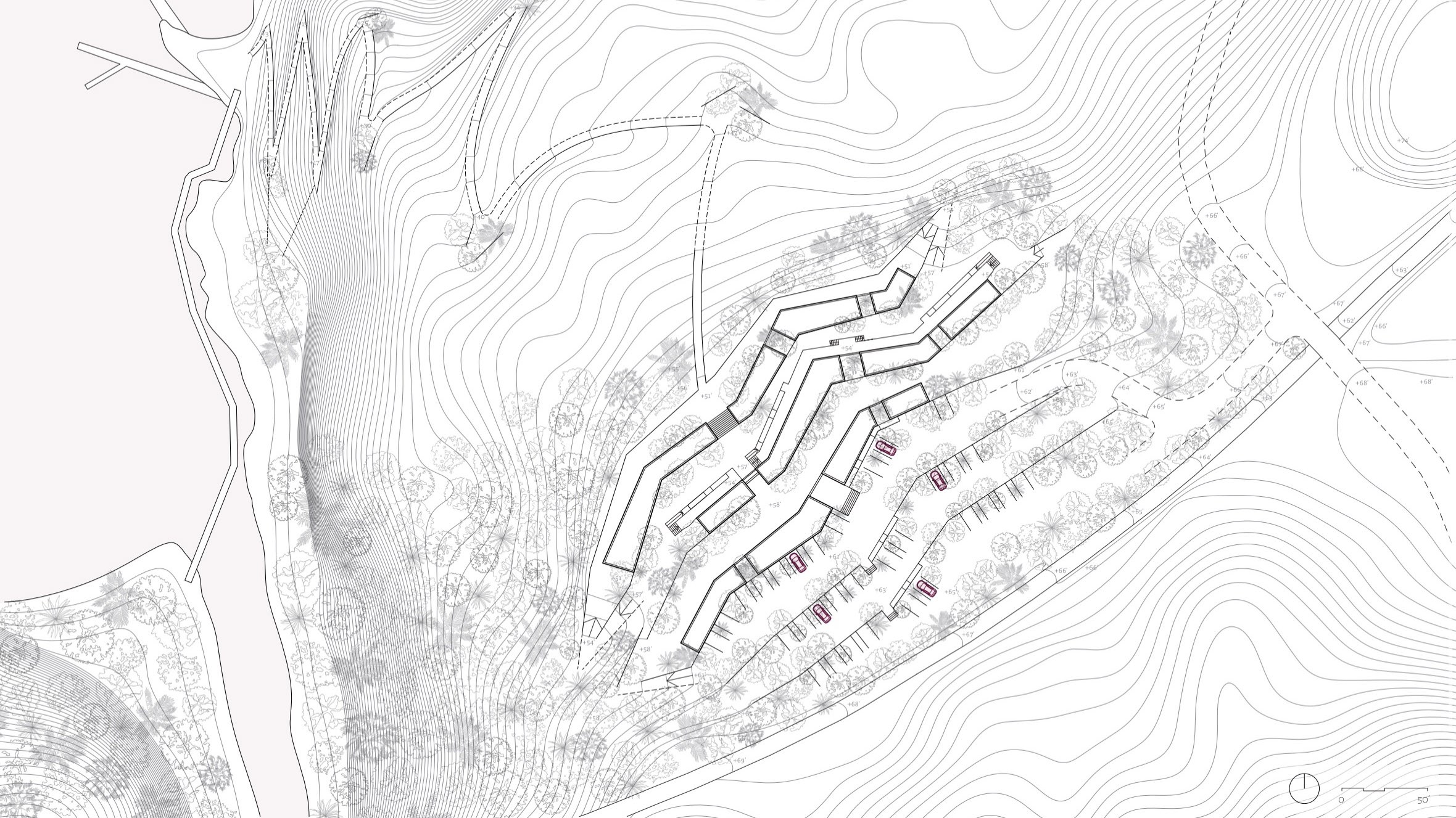 Giuliana Vaccarino Gearty’s Thesis: amplify and attract site plan