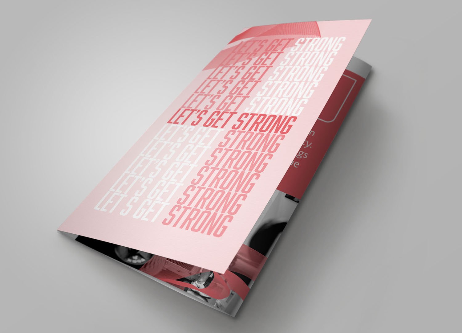 Image of Student Work Graphic Design Pamphlet 